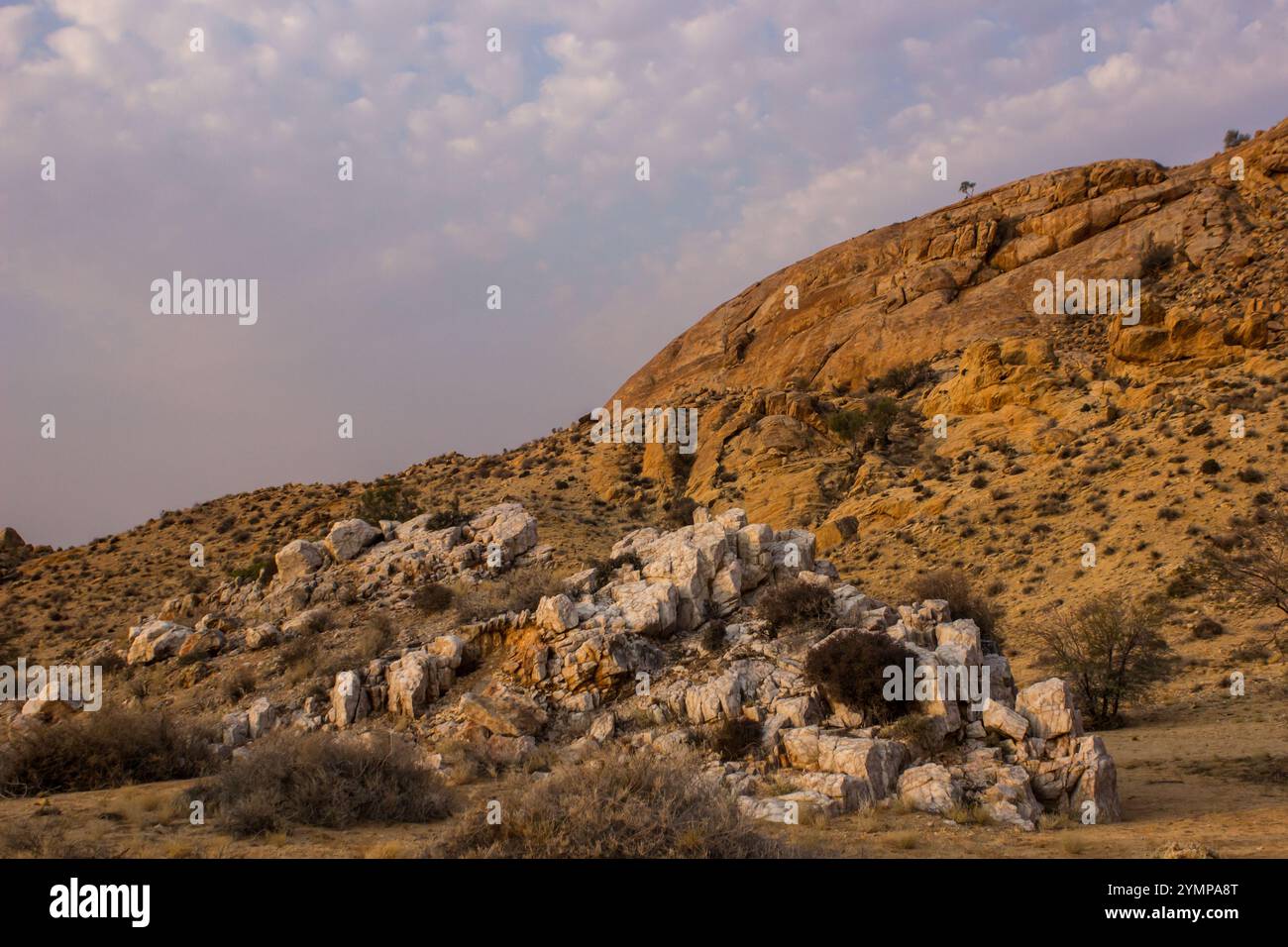 Ein großer felsischer Pegmatit, der im späten Nachmittagslicht zwischen den aus-Bergen im Naturschutzgebiet Rand in Namibia auftaucht. Stockfoto