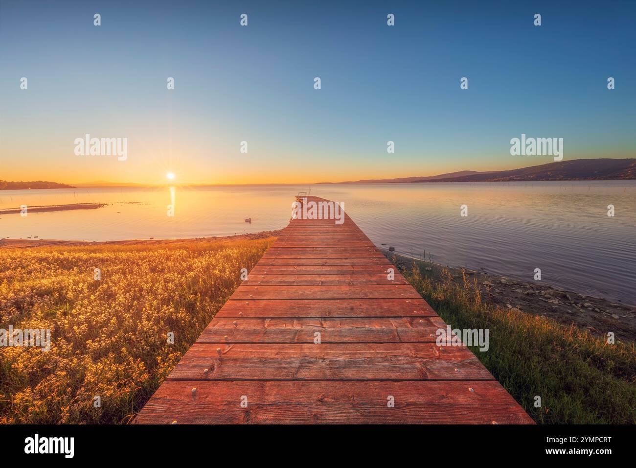 Holzpier am Trasimeno-See und ein Schwan bei Sonnenuntergang. Torricella, Magione, Provinz Perugia, Region Umbrien, Italien Stockfoto