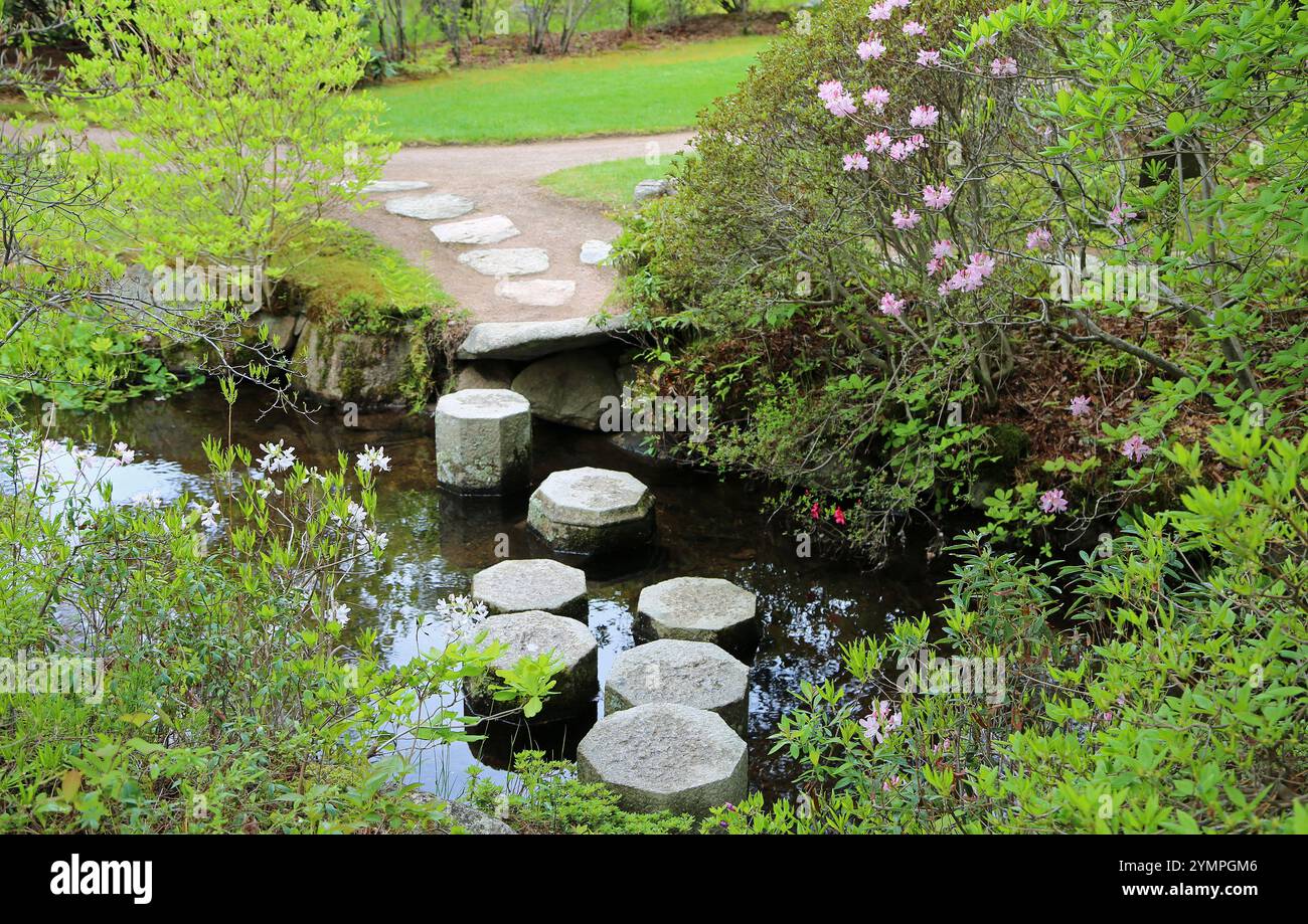 Landschaft im Asticou Azalea Garden, Maine Stockfoto