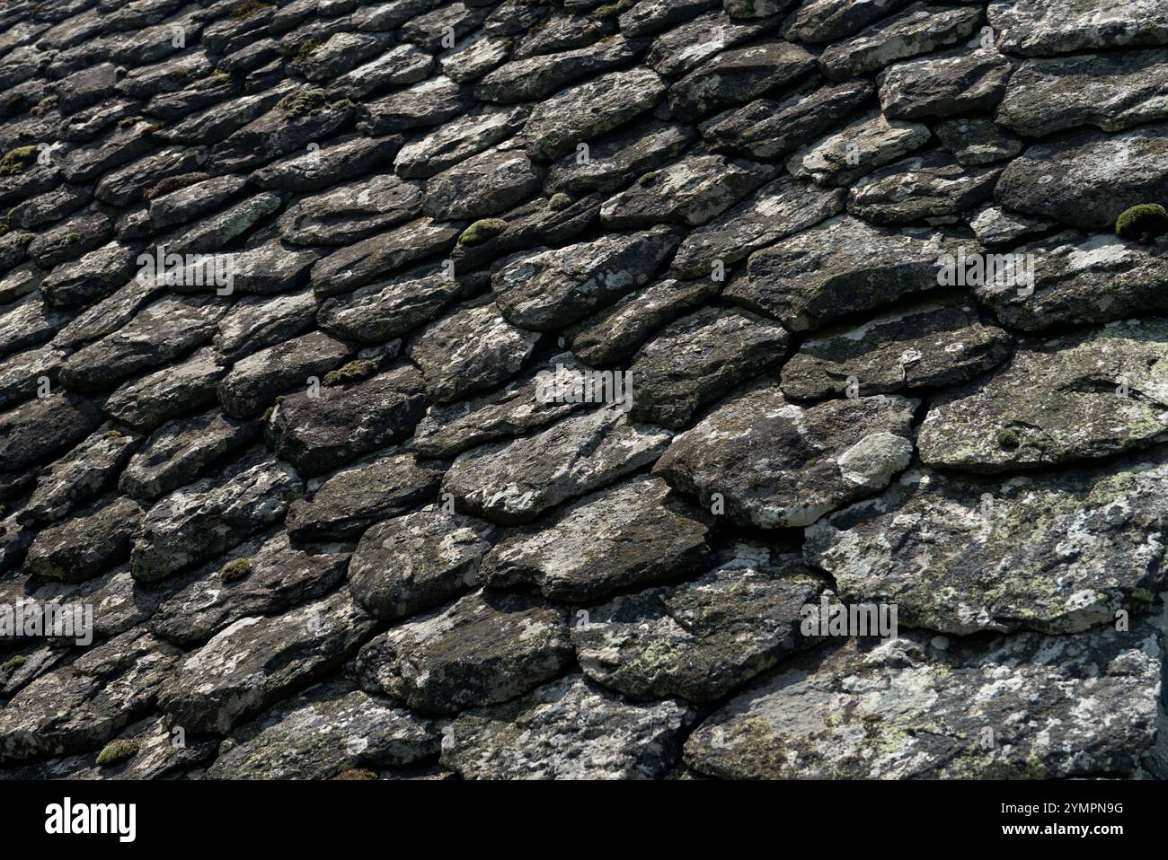 Altes traditionelles Loss-Dach in der Auvergne, traditionelle Dachverkleidungstechnik Stockfoto