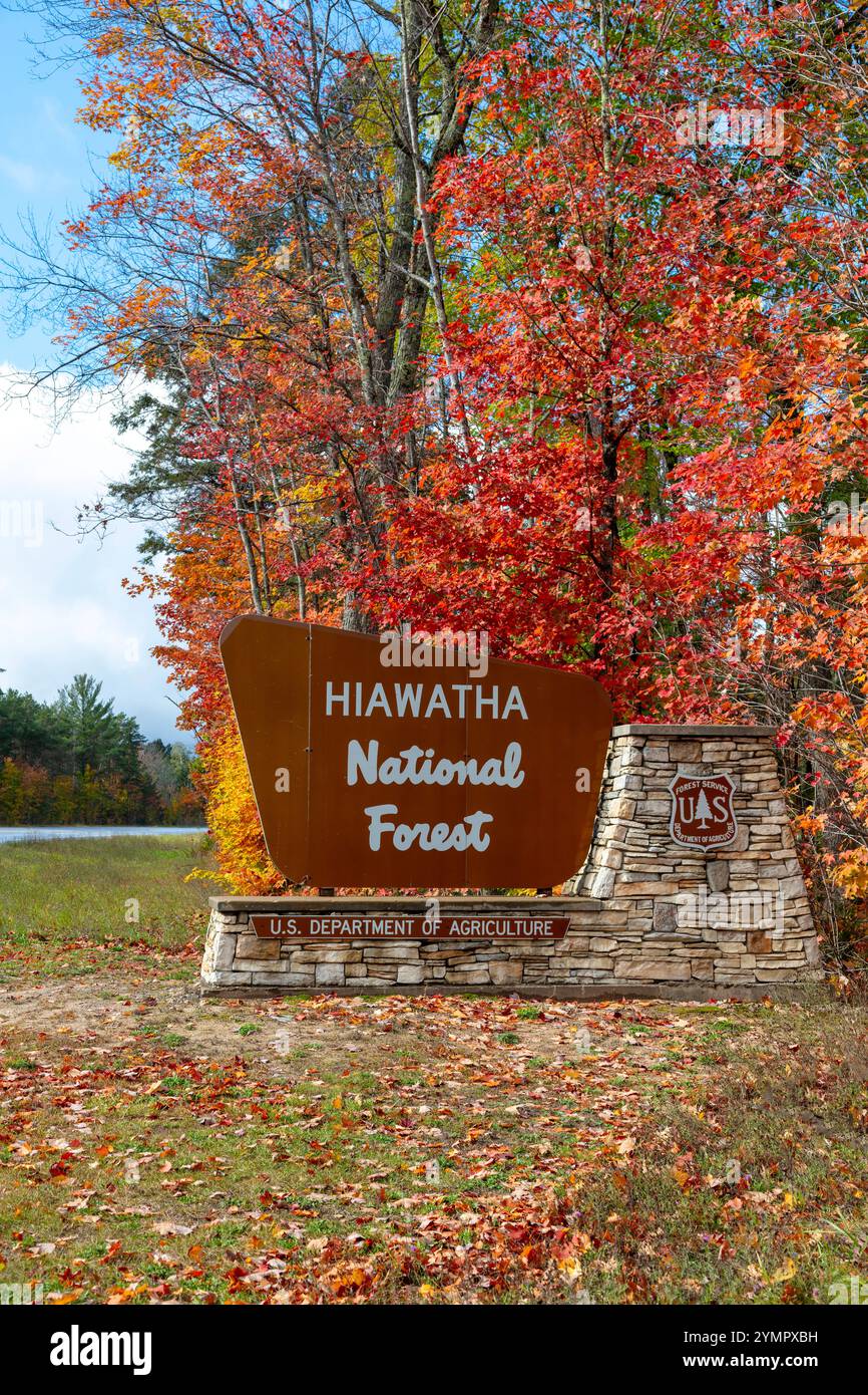 Eintrittsschild, Hiawatha National Forest, Upper Michigan, USA, Herbst, von James D Coppinger/Dembinsky Photo Assoc Stockfoto