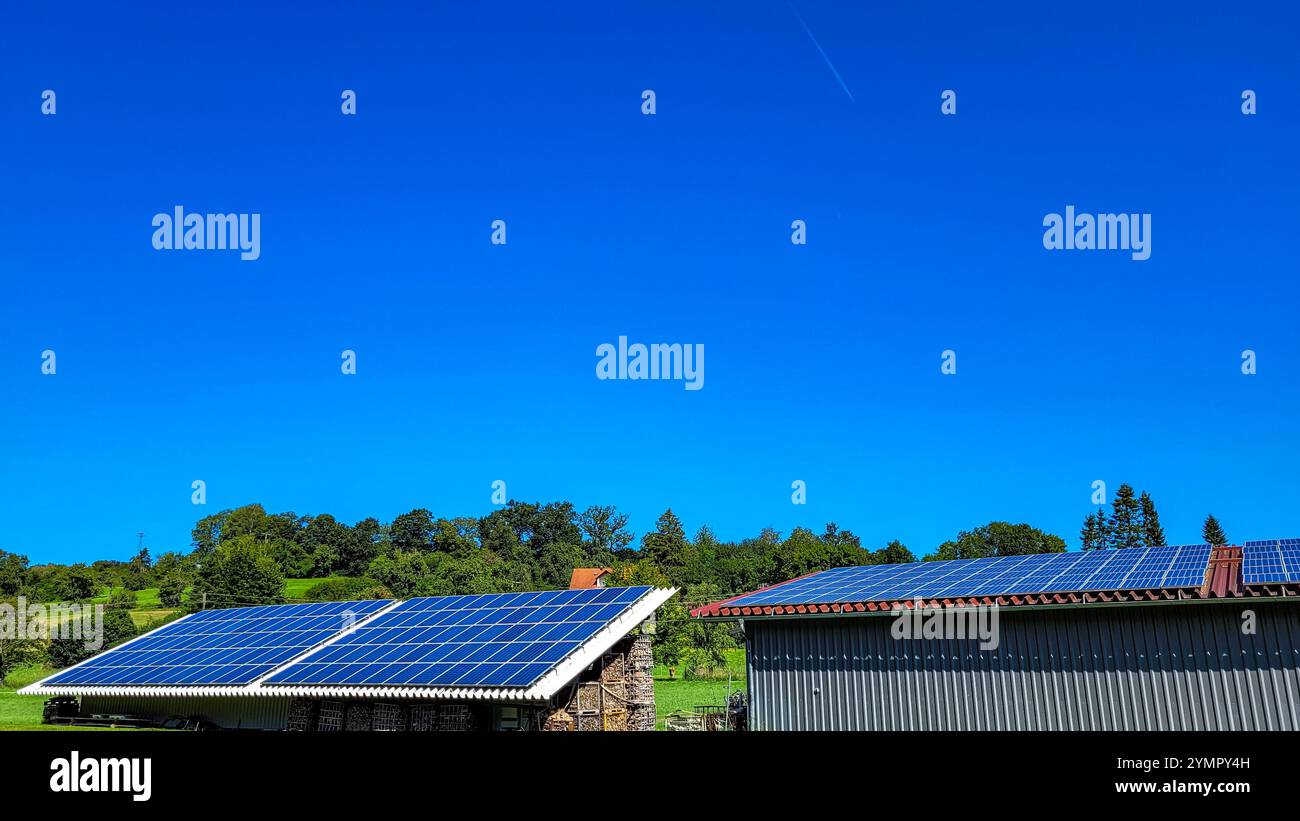 Viele Photovoltaikpaneele auf den Dächern landwirtschaftlicher Gebäude. Im Hintergrund - die Gipfel der grünen Bäume und der blaue Himmel. Autonome Elektrizität Stockfoto