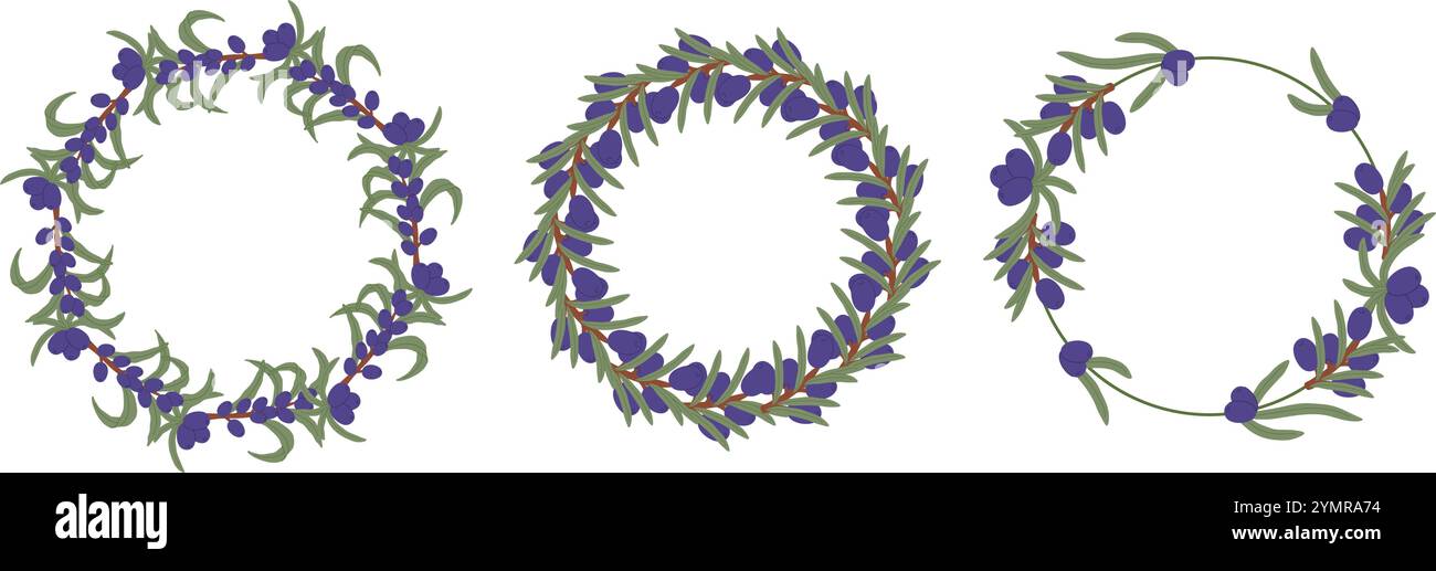 Kreisförmige Rahmen, die mit Olivenzweigen und Beeren verziert sind, schaffen ein natürliches und elegantes Design Stock Vektor