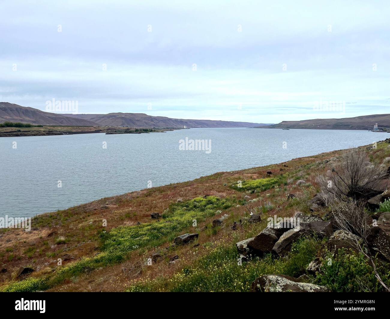 Blick auf den Columbia River von der Straße, 3. Mai 2024. Das U.S. Army Corps of Engineers and Bureau of Reclamation wird die Öffentlichkeit über 2025 Hochwasserrisikomanagement (FRM) im Zusammenhang mit dem Columbia River Treaty (Treaty) während virtueller Informationssitzungen am 4. Und 5. Dezember informieren. Bis zum Inkrafttreten eines modernisierten Treat-Programms befinden sich die Vereinigten Staaten und Kanada in einer Übergangszeit, was einen neuen Betriebsplan für FRM erforderlich macht. Stockfoto