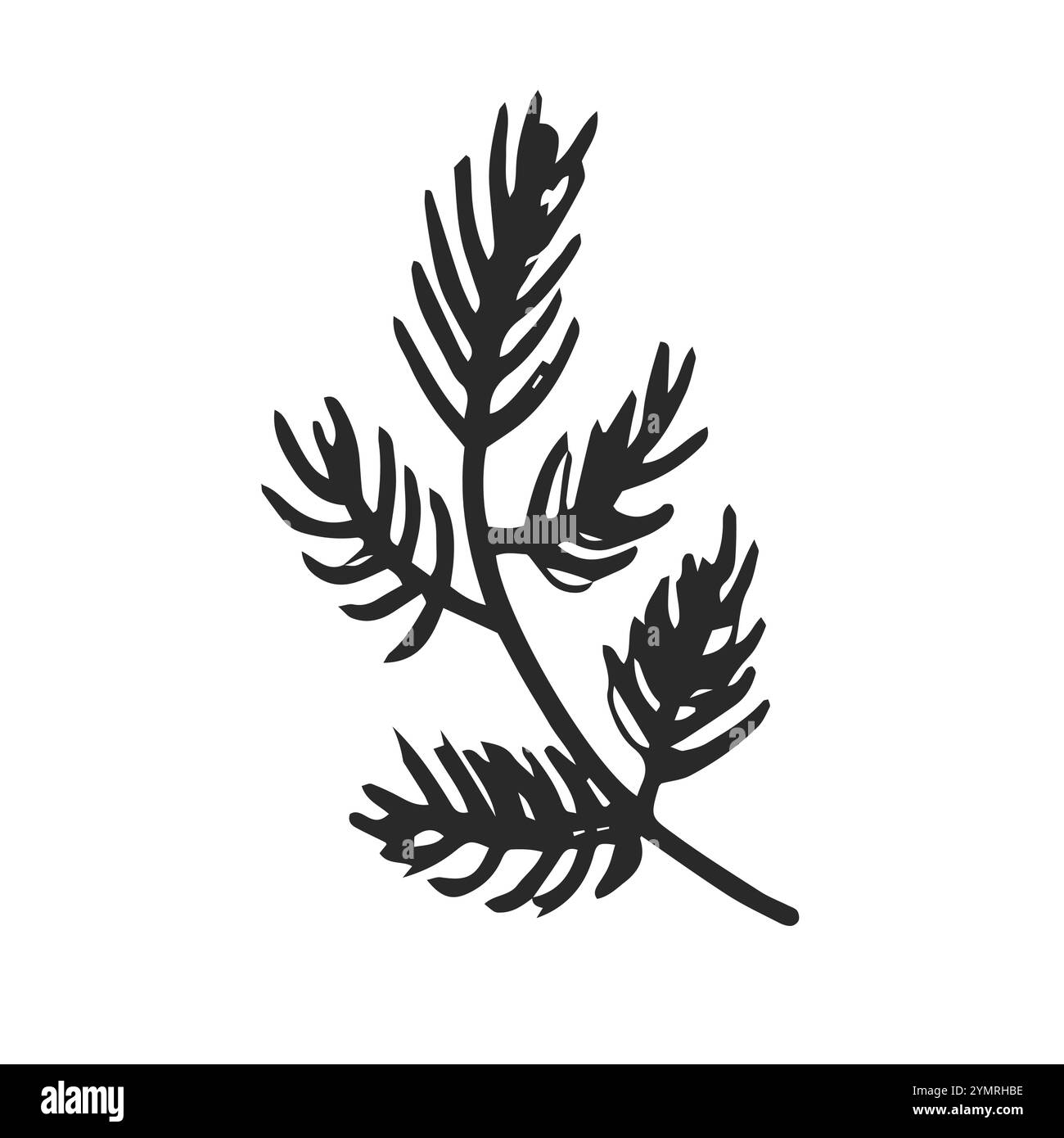 Symbol für den Vektor der Verzweigung des Nadelbaums. Handgezeichnete Illustration isoliert auf weißem Hintergrund. Immergrüner Zweig Kiefer, Tanne, Fichte. Botanisches Clipart für DE Stock Vektor
