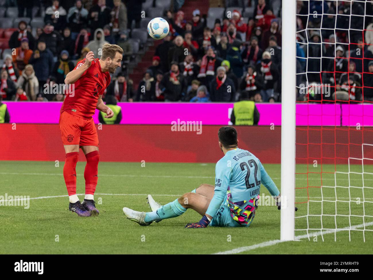 München, Deutschland. November 2024. Harry Kane (FC Bayern München, #9) bei seinem Tor zum 3:0 gegen Nediljko Labrovic (Torwart, FC Augsburg, #22). GER, FC Bayern München gegen den FC Augsburg, Fussball, Bundesliga, 11. Spieltag, Spielzeit 2024/2025, 22.11.2024. (DIE DFL-DFB-VORSCHRIFTEN VERBIETEN DIE VERWENDUNG VON FOTOS ALS BILDSEQUENZEN UND/ODER QUASI-VIDEO). Foto: Eibner-Pressefoto/Heike feiner Credit: dpa/Alamy Live News Stockfoto