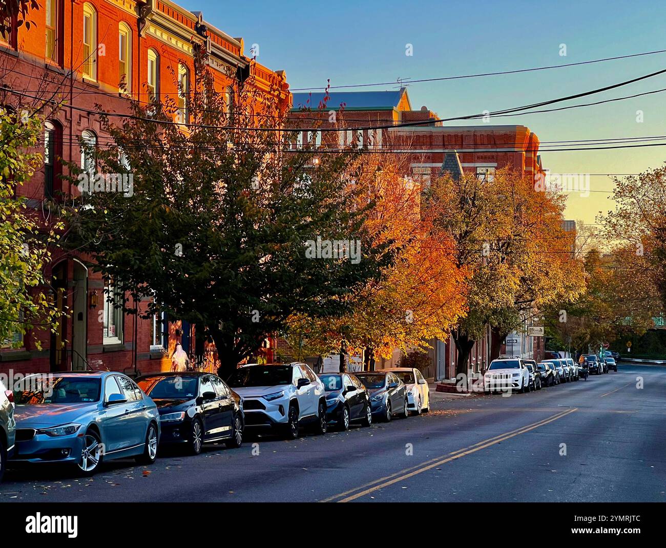 Die Herbstfarbe hellt die Bäume entlang der North 29th Street im Stadtteil Fairmount in Philadelphia auf. Stockfoto
