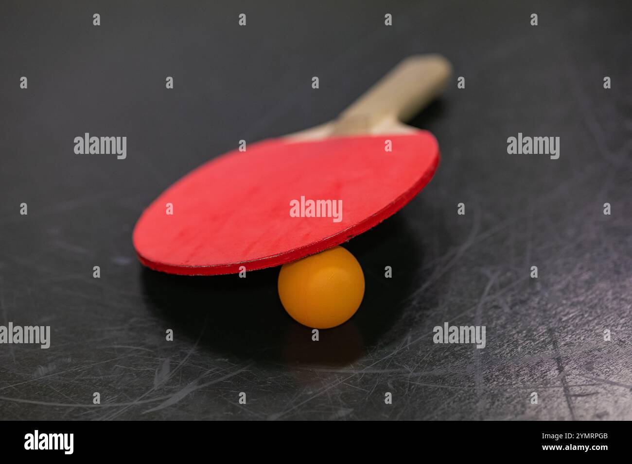 Rotes Tischtennispaddel über orangefarbenem Tischtennisball auf einer zerkratzten Tischoberfläche. Hallensport, Freizeitaktivitäten und Hand-Augen-Koordination Stockfoto