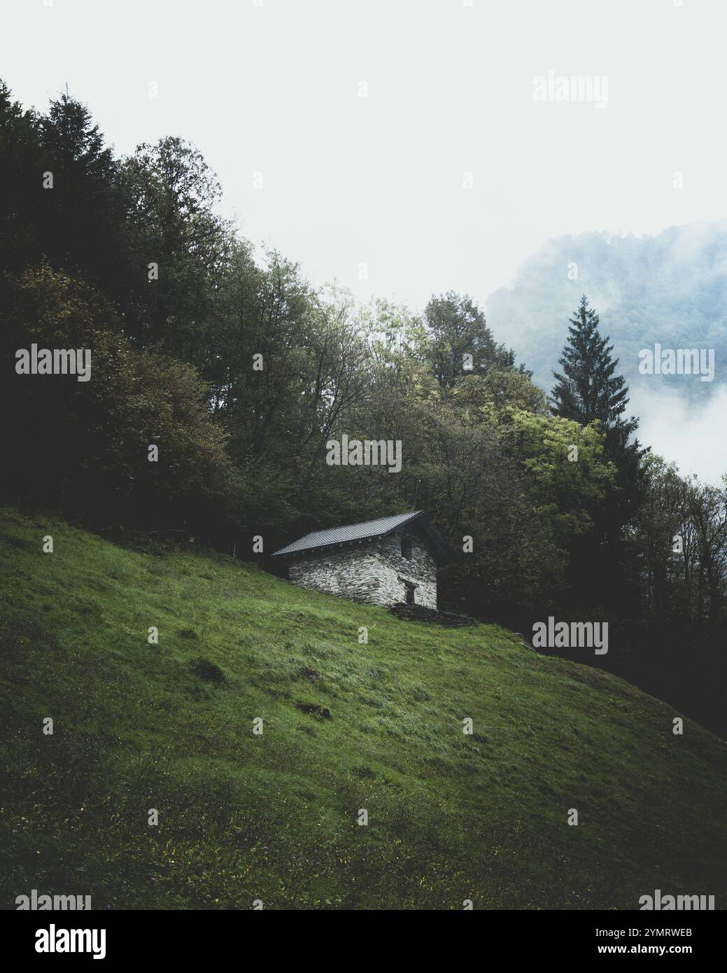 Moody grüne Waldlandschaft mit einer gemütlichen Hütte an einem nebeligen Tag Stockfoto