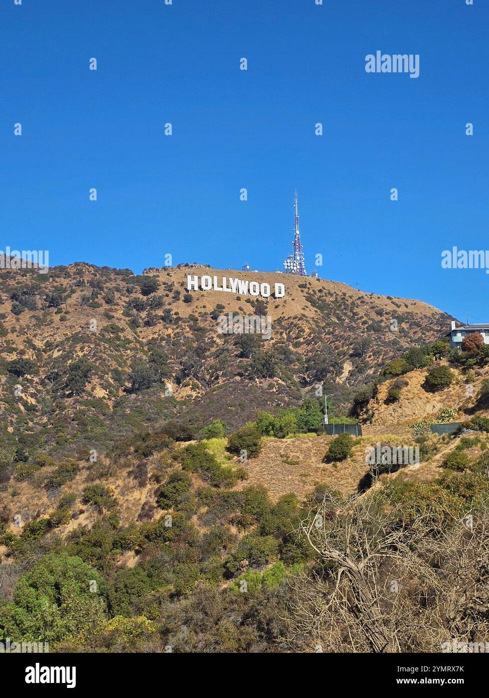 Das legendäre Hollywood-Zeichen an einem sonnigen Tag, vor einem klaren blauen Himmel und zerklüfteten Hügeln. Perfekt für Themen wie Reisen, Wahrzeichen und Kultur von Los Angeles Stockfoto