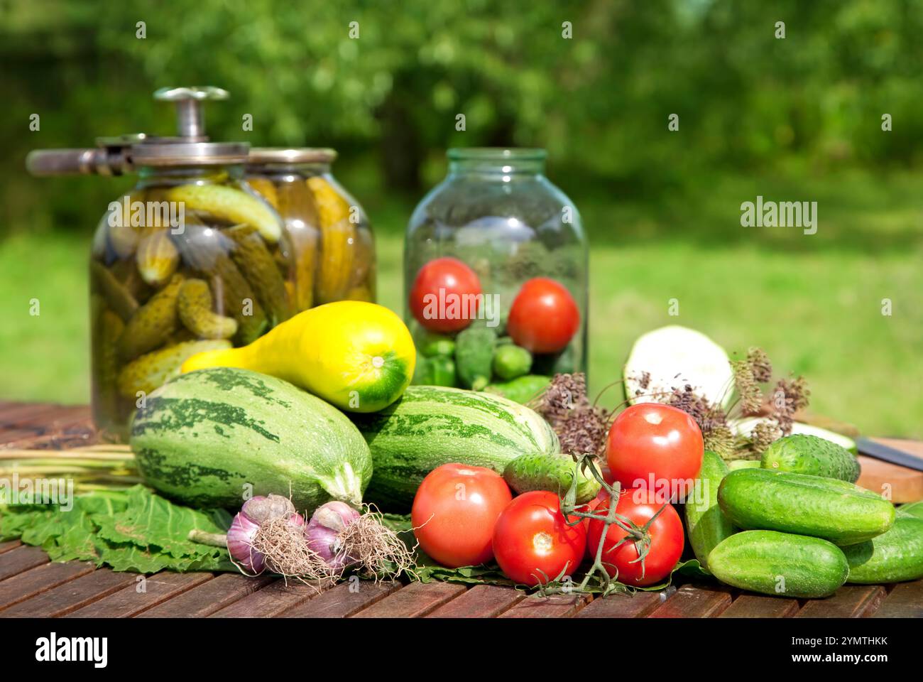 Frisches Gemüse mit eingelegten Gurken in Gläsern Stockfoto