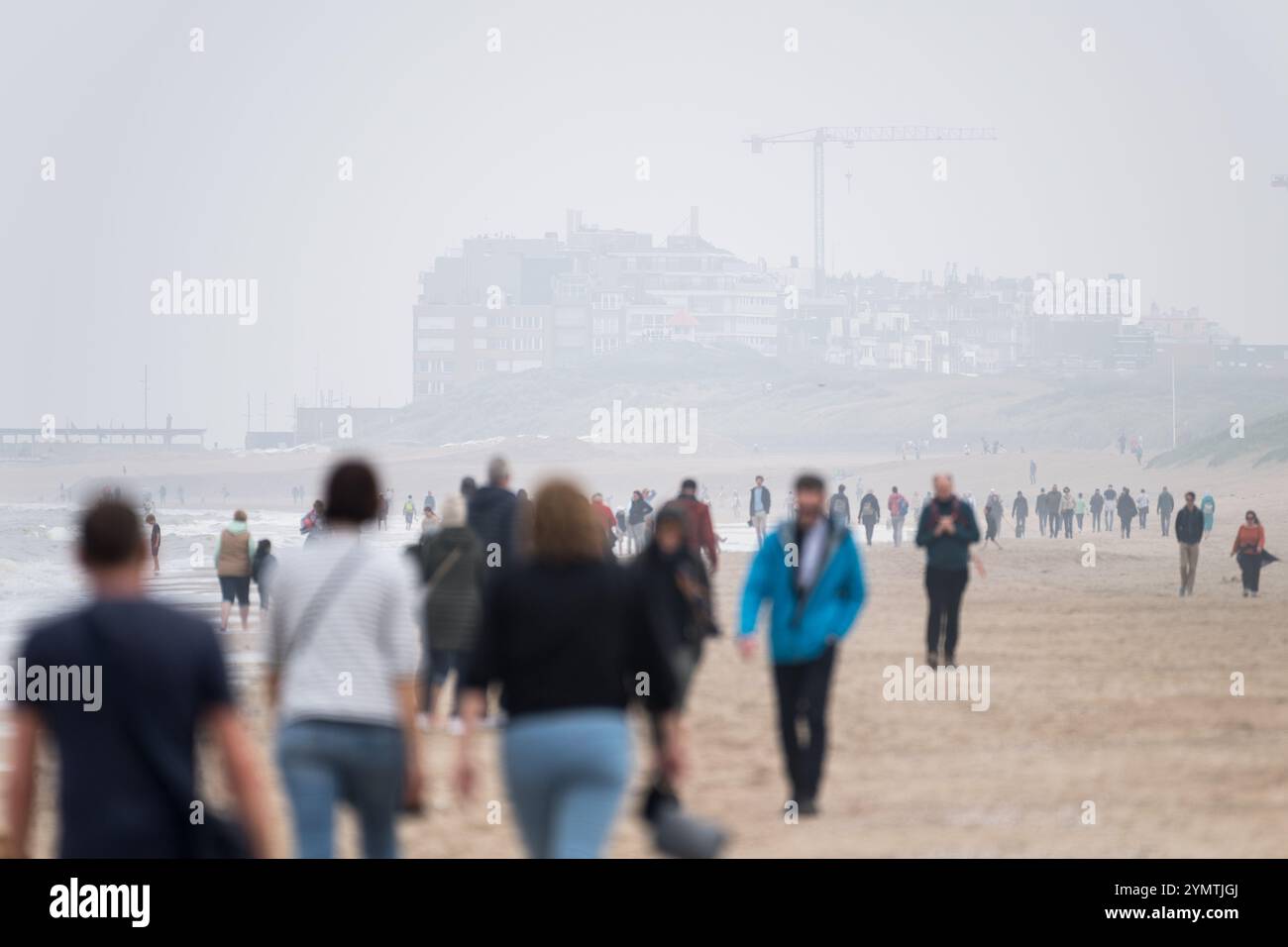 Strand Duinbossen de Haan in Richtung Wenduine, Nordseestrand in de Haan, Westflandern, Flandern, Belgien © Wojciech Strozyk / Alamy Stock Photo Stockfoto