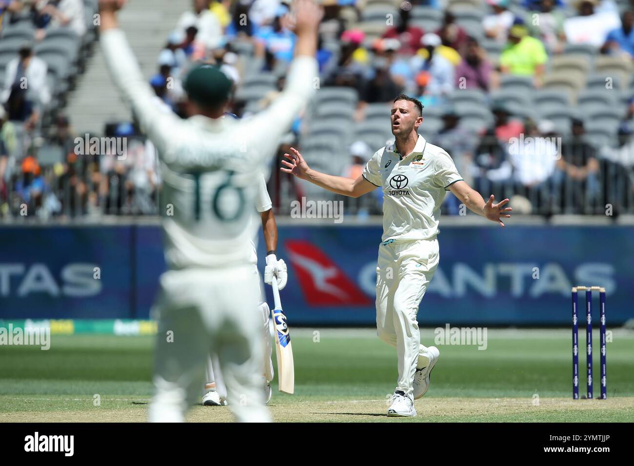 Perth Stadium, Perth, Australien. November 2024. International Test Cricket, Australien gegen Indien 1. Test Day 2; Josh Hazlewood aus Australien reagiert auf seine Bowling Credit: Action Plus Sports/Alamy Live News Stockfoto