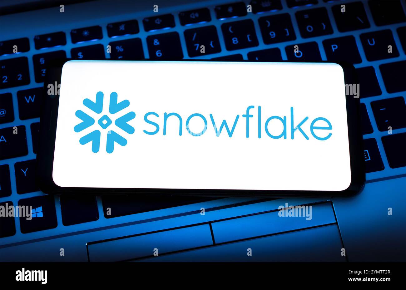 Firmenlogo von Snowflake Stockfoto