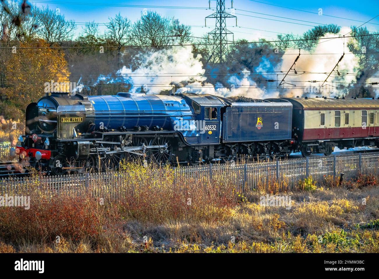 LNER Peppercorn Klasse A2 Nr. 60532 Blue Peter eine 4-6-2-Dampflokomotive, die in Winwick auf der Hauptstrecke der Westküste zu sehen ist Stockfoto