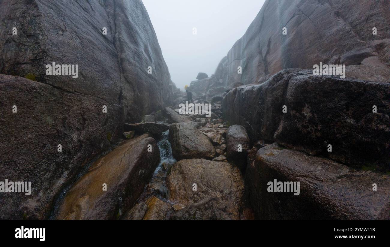 Eine schmale felsige Schlucht mit nebeligem Wetter, mit nassen Felsblöcken und einem kleinen Bach, der durch die Felsen fließt. Stockfoto