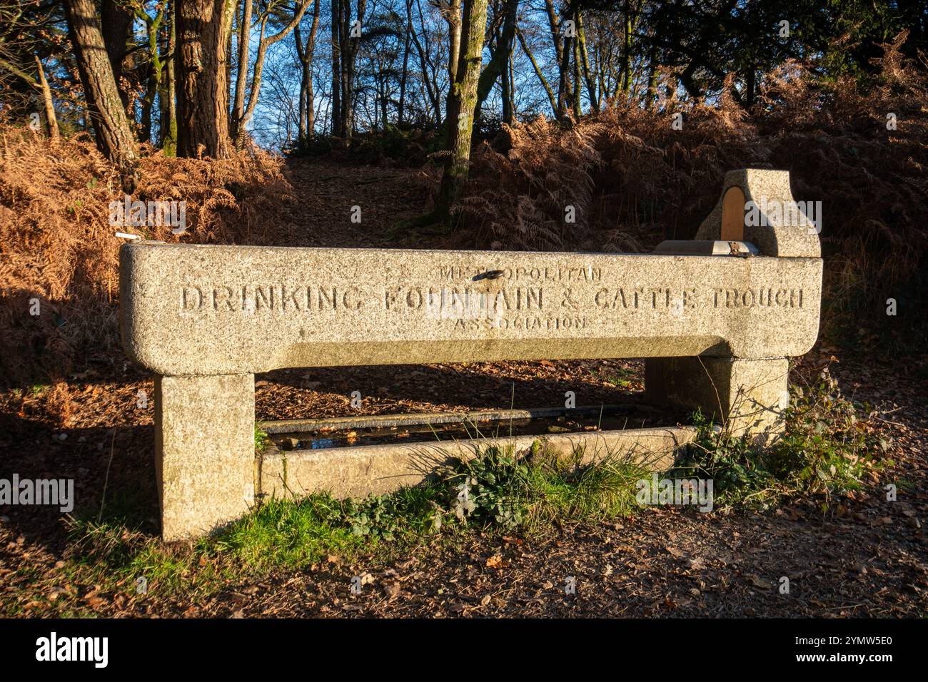 Alte historische Trinkbrunnen und Rindertrog, Surrey, England, Großbritannien. Inschrift Metropolitan Drink Fountain & Viehtrog Association Stockfoto