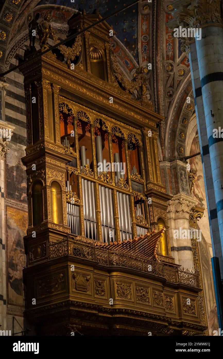 Innenraum des Duomo di Siena (Santa Maria Assunta), Details der Orgel in der Kathedrale. Siena, Italien 07.01.2024 Stockfoto