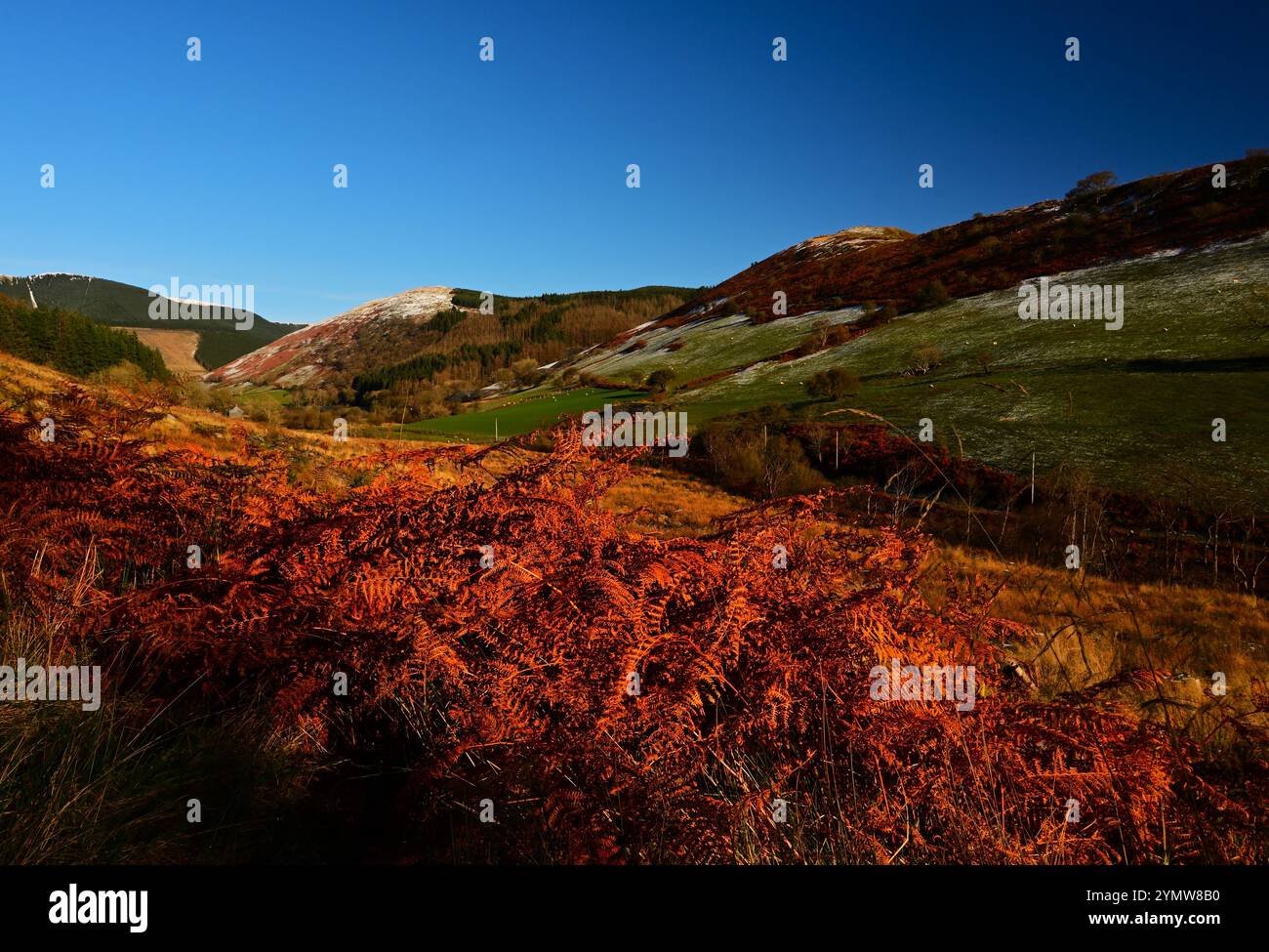 Walisische Landschaft von Cwm Ratgoed in der Nähe des Dorfes Aberllefenni South Gwynedd, Wales UK, mit leichtem Schnee auf Hügeln und Herbstfarbe mit blauem Himmel. Stockfoto