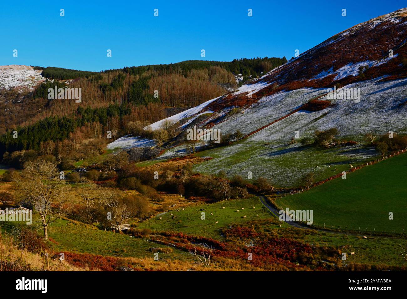 Walisische Landschaft von Cwm Ratgoed in der Nähe des Dorfes Aberllefenni South Gwynedd, Wales UK, mit leichtem Schnee auf Hügeln und Herbstfarbe mit blauem Himmel. Stockfoto