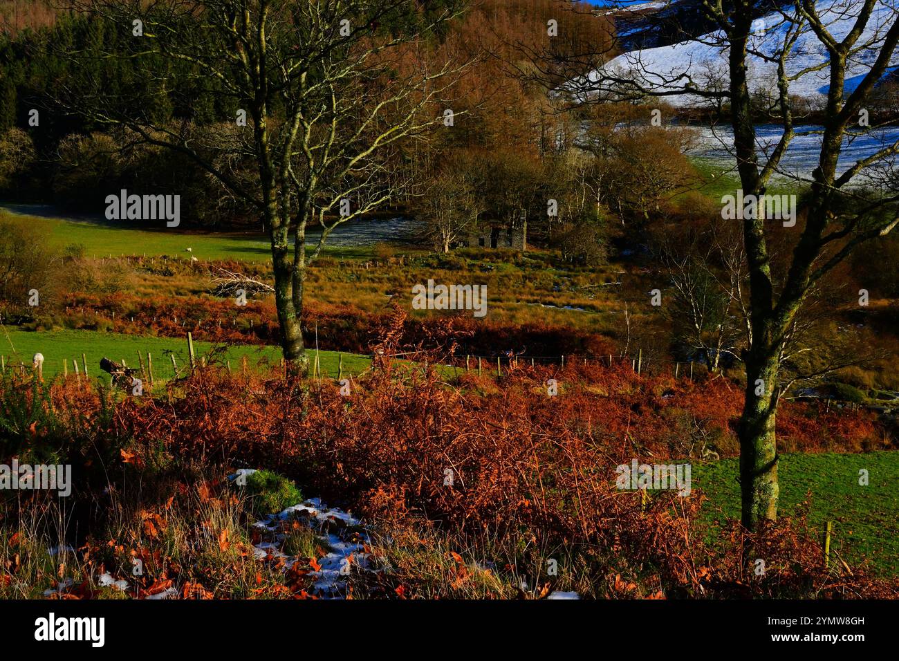 Walisische Landschaft von Cwm Ratgoed in der Nähe des Dorfes Aberllefenni South Gwynedd, Wales UK, mit leichtem Schnee auf Hügeln und Herbstfarbe mit blauem Himmel. Stockfoto