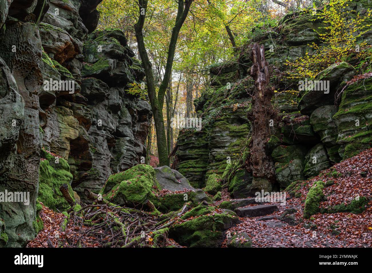 Landschaft der Eifel nahe Bitburg, Deutschland Stockfoto
