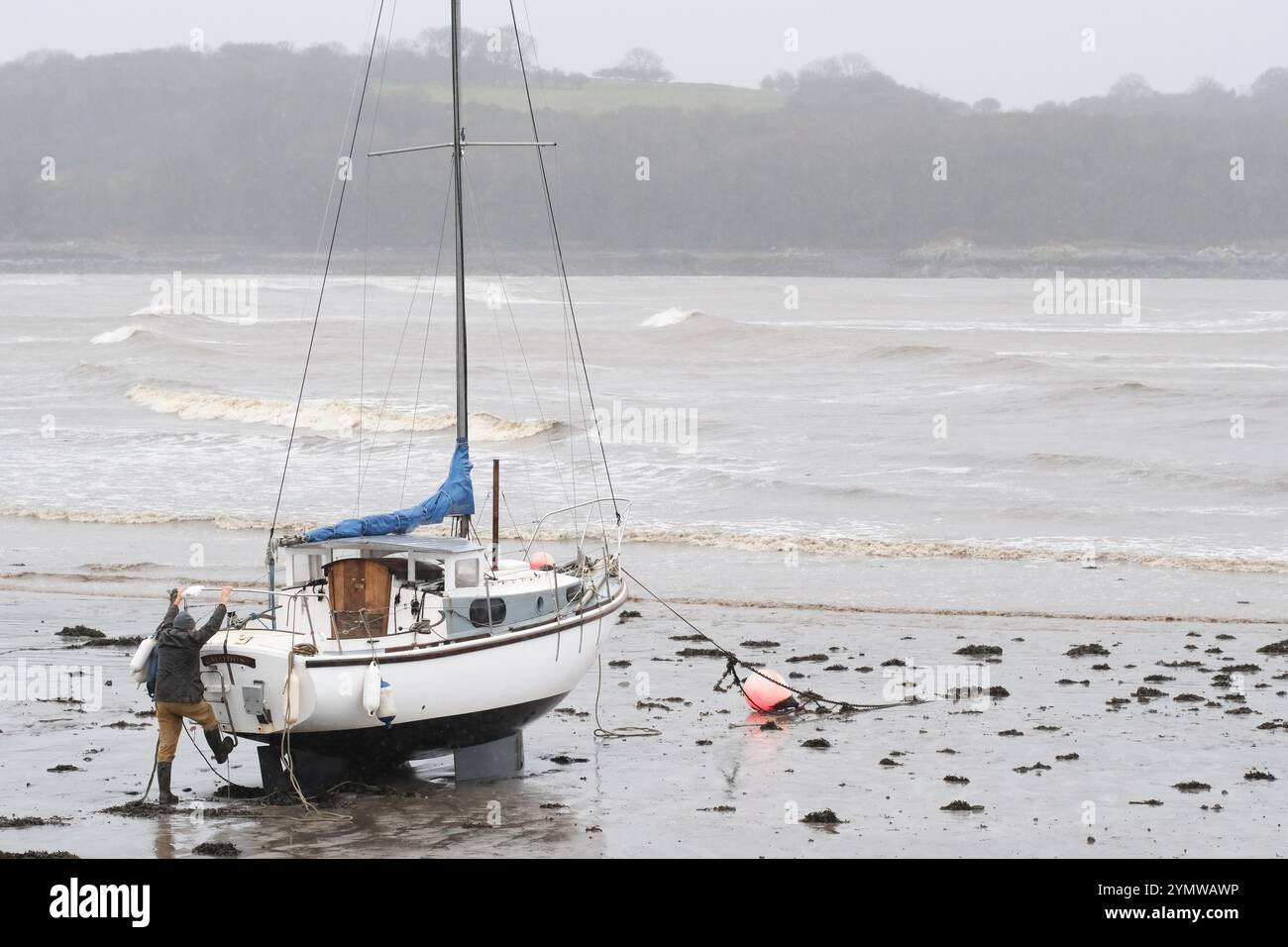 Garlieston, Wigtownshire, Schottland – Wetter in Großbritannien – Samstag, 23. November 2024 – Ein Matrose überprüft seine Anlegeplätze seiner Yachten, während die starken Winde vom Sturm Bert die aufsteigende Flut in den Hafen von Garlieston im Südwesten Schottlands treiben – Foto Steven May / Alamy Live News Stockfoto