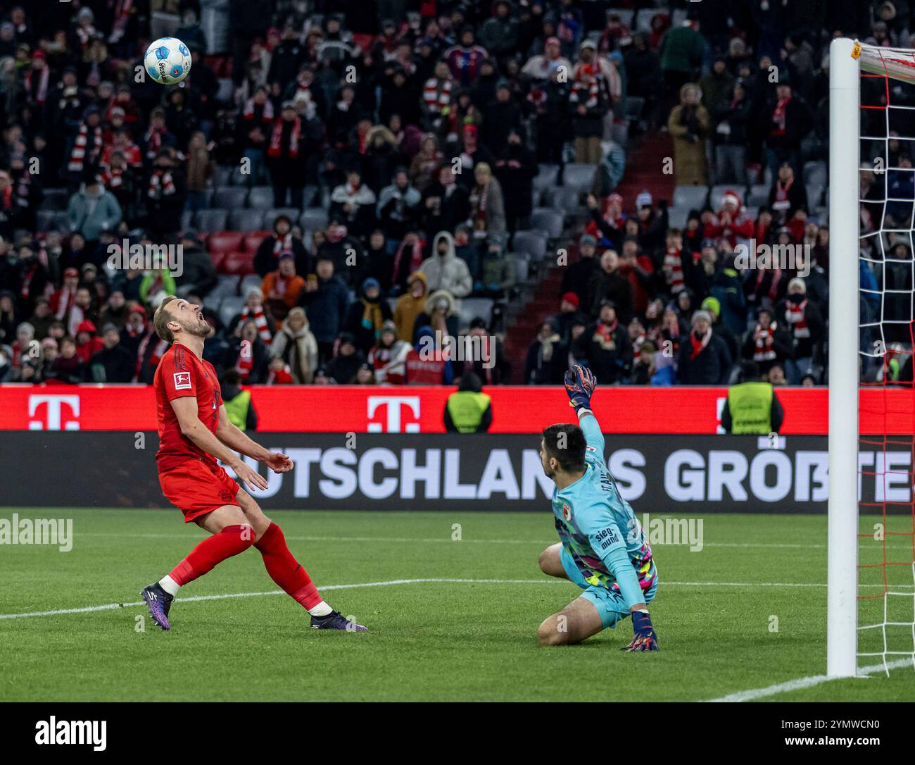 München, Deutschland. November 2024. Harry Kane (FC Bayern München, #9) bei seinem Tor zum 3:0 gegen Nediljko Labrovic (Torwart, FC Augsburg, #22). GER, FC Bayern München gegen den FC Augsburg, Fussball, Bundesliga, 11. Spieltag, Spielzeit 2024/2025, 22.11.2024. (DIE DFL-DFB-VORSCHRIFTEN VERBIETEN DIE VERWENDUNG VON FOTOS ALS BILDSEQUENZEN UND/ODER QUASI-VIDEO). Foto: Eibner-Pressefoto/Heike feiner Credit: dpa/Alamy Live News Stockfoto
