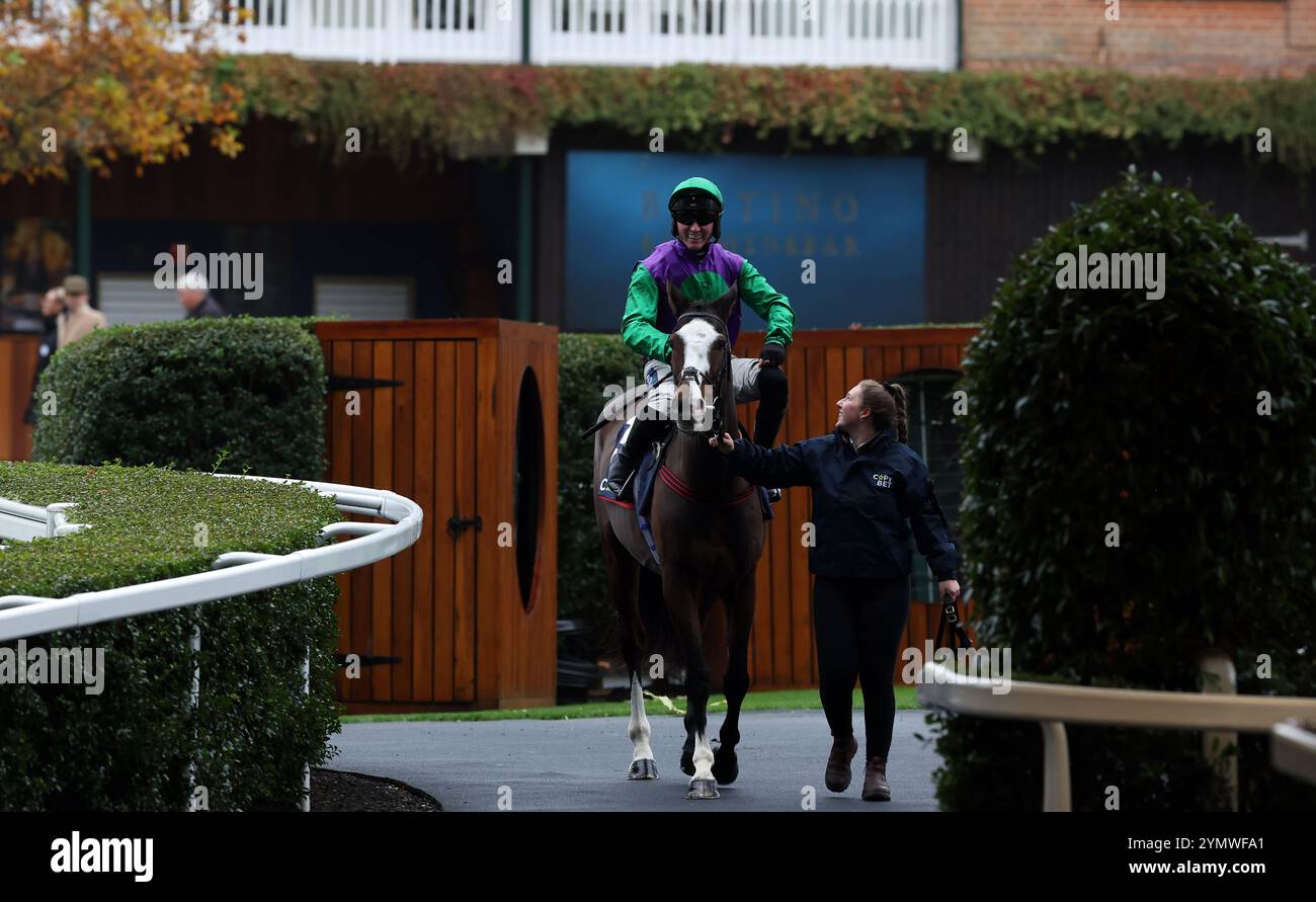 Ein Läufer und Fahrer vor der Copybet Mares' Handicap Hürde auf der Ascot Racecourse. Bilddatum: Samstag, 23. November 2024. Stockfoto