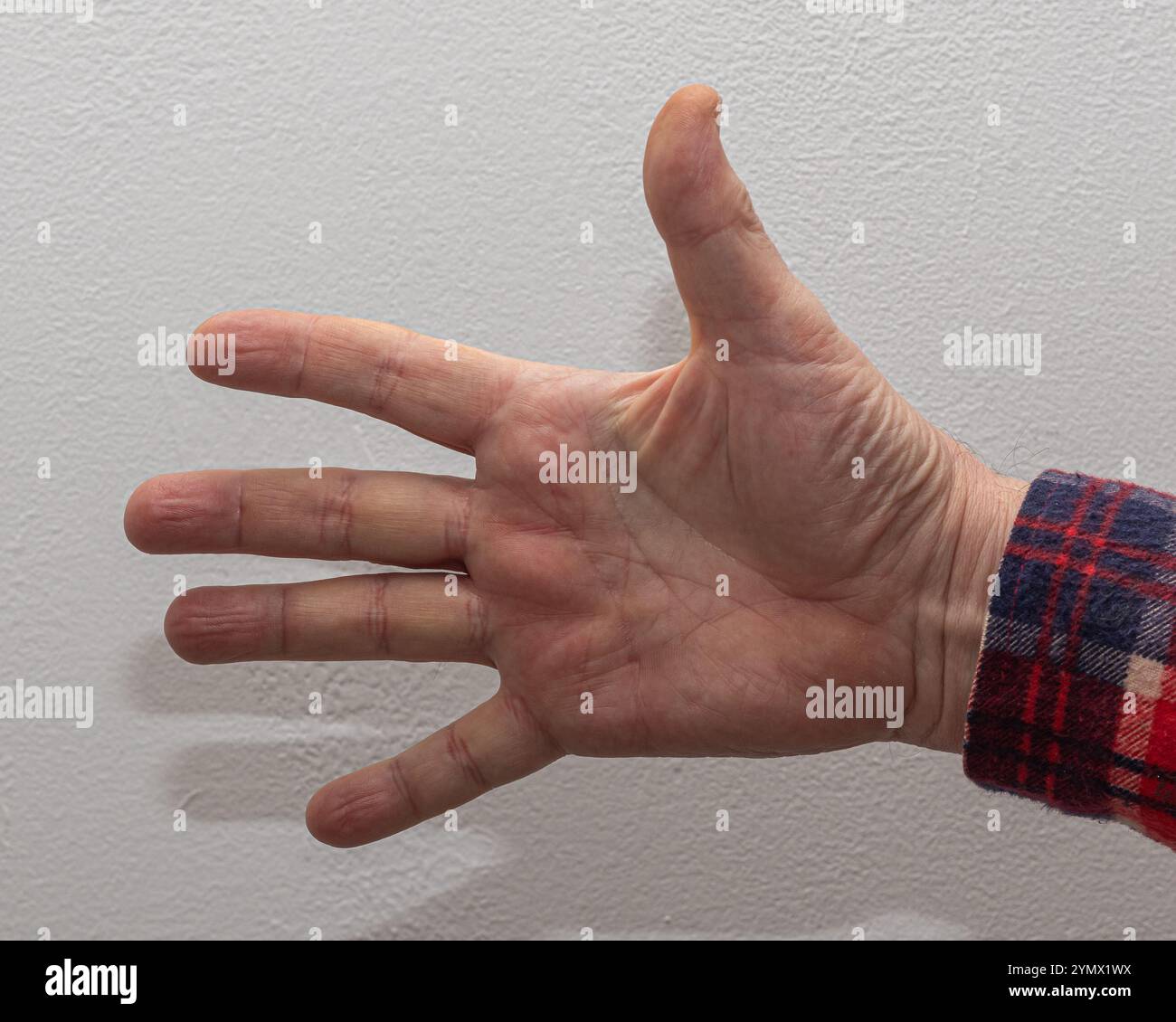 Eine männliche Hand in einem karierten Hemd streckt alle fünf Finger in einer deutlichen Zählgeste vor einem neutralen weißen Hintergrund aus Stockfoto