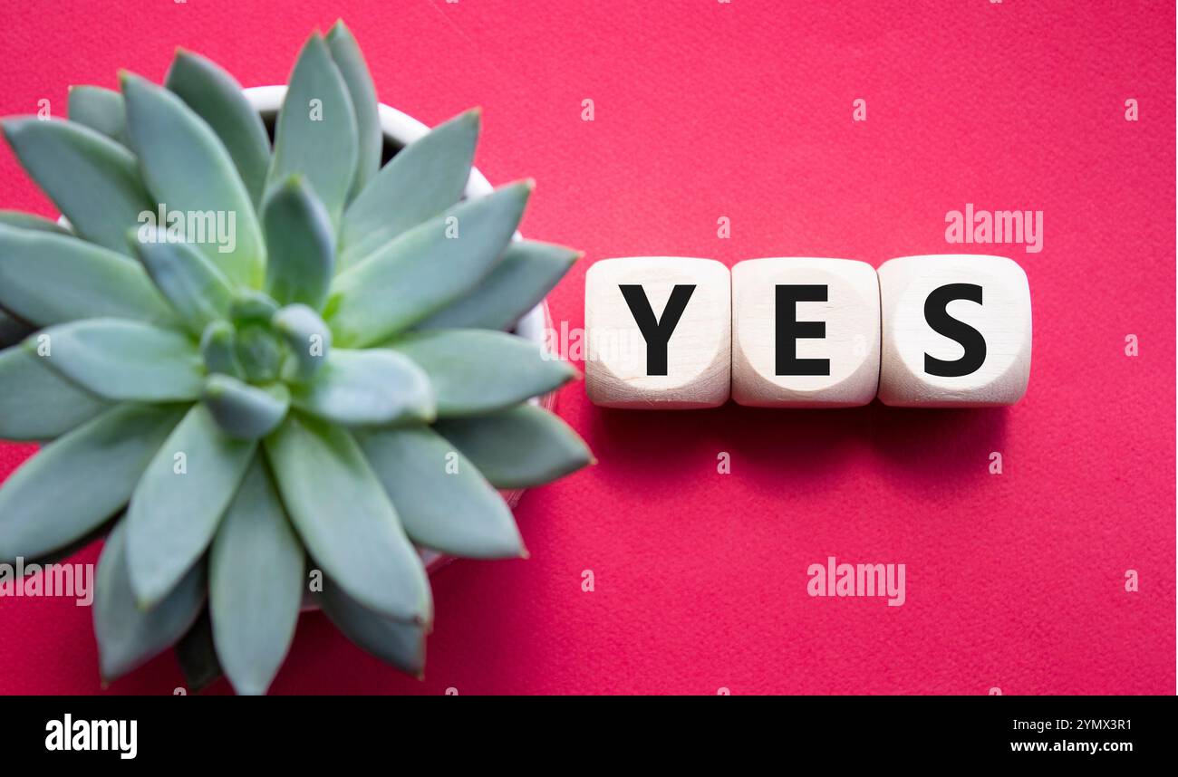 Ja-Symbol. Holzblöcke mit dem Wort Ja. Schöner roter Hintergrund mit saftiger Pflanze. Business und Ja-Konzept. Kopierbereich. Stockfoto