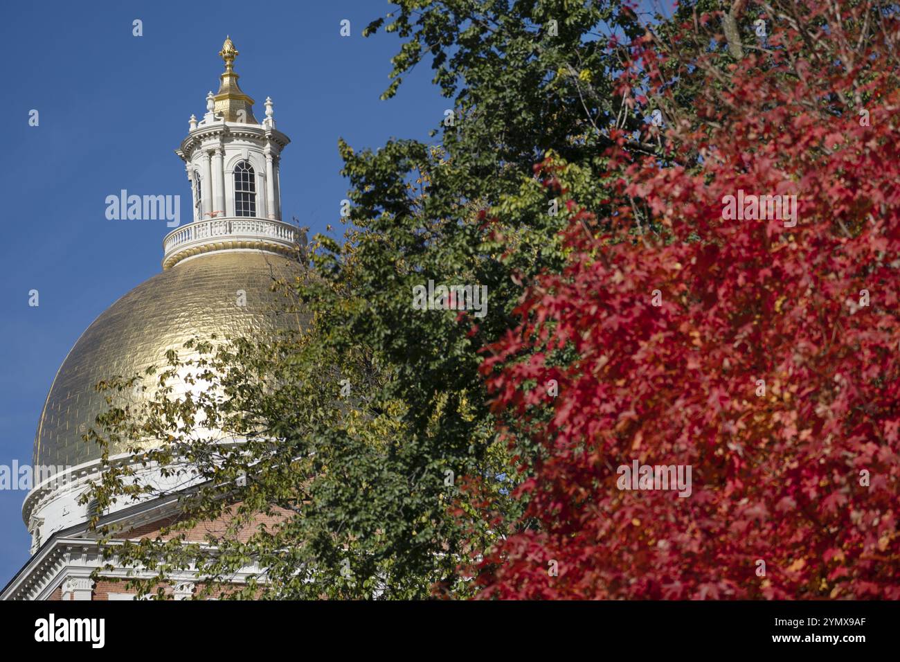 Boston Common, Public Garden, Stadtpark im Herbst, Herbstlaub Menschen Stockfoto