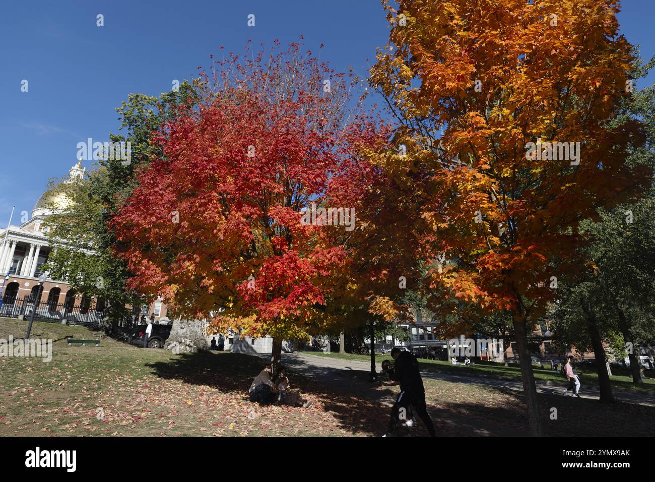 Boston Common, Public Garden, Stadtpark im Herbst, Herbstlaub Menschen Stockfoto