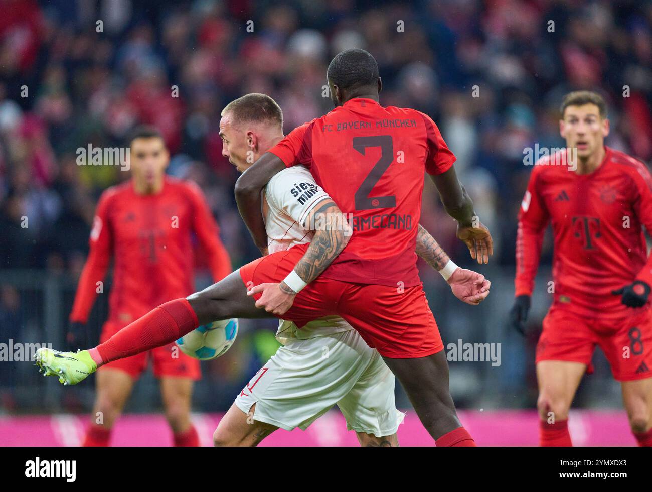 Dayot Upamecano, FCB 2 tritt um Ball, Tackling, Duell, Header, zweikampf, Action, Kampf gegen Phillip Tietz, FCA 21 im Spiel FC BAYERN MÜNCHEN - FC AUGSBURG 3-0 am 22. November 2024 in München. Saison 2024/2025, 1.Bundesliga, FCB, München, Spieltag 11, 11.Spieltag Fotograf: Peter Schatz - DFL-VORSCHRIFTEN VERBIETEN JEDE VERWENDUNG VON FOTOGRAFIEN als BILDSEQUENZEN und/oder QUASI-VIDEO - Stockfoto