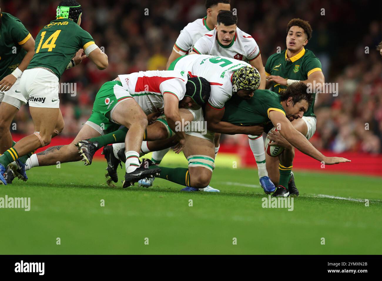 Cardiff, Großbritannien. November 2024. Eben Etzebeth aus Soth Africa wird von Nicky Smith & Christ Tshiunza aus Wales angegriffen. Wales gegen Südafrika, 2024 Spiel der Autumn Nations im Principality Stadium in Cardiff am Samstag, 23. November 2024. bild von Andrew Orchard/Andrew Orchard Sportfotografie/Alamy Live News Credit: Andrew Orchard Sportfotografie/Alamy Live News Stockfoto