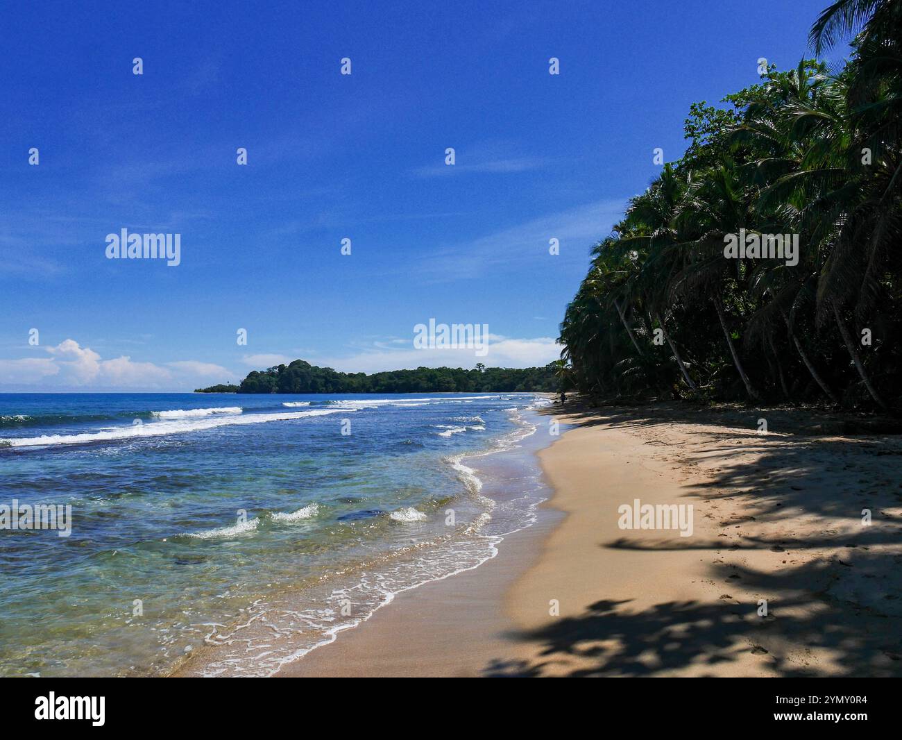 Meer und Strand in Playa Punta Uva in Costa Rica. Punta Uva Beach liegt an der südlichen Karibikküste Costa Ricas. Stockfoto