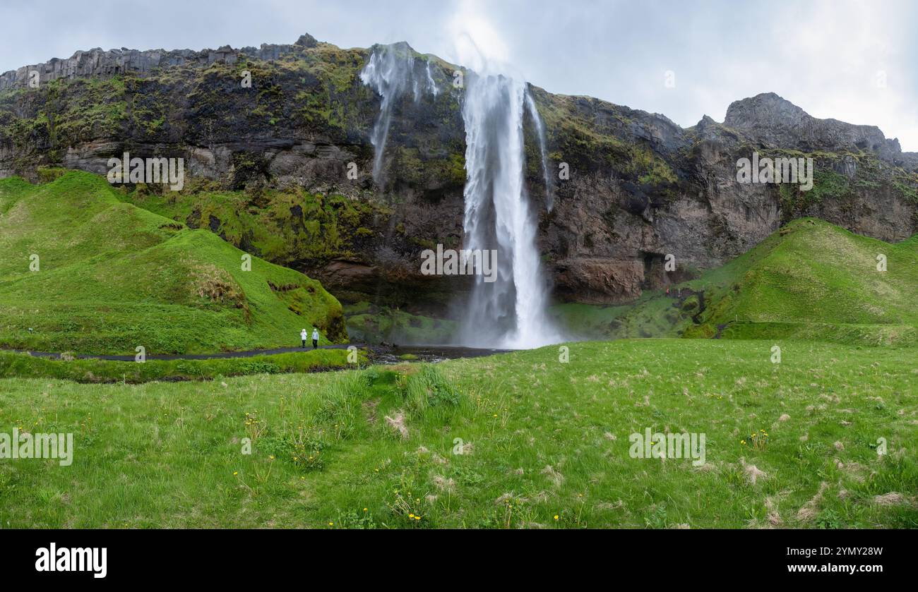 Seljalandsfoss Wasserfall in Island: Berühmte landschaftliche Schönheit umgeben von üppigem Grün, beliebtes Touristenziel für Fotografie und Naturforschung Stockfoto