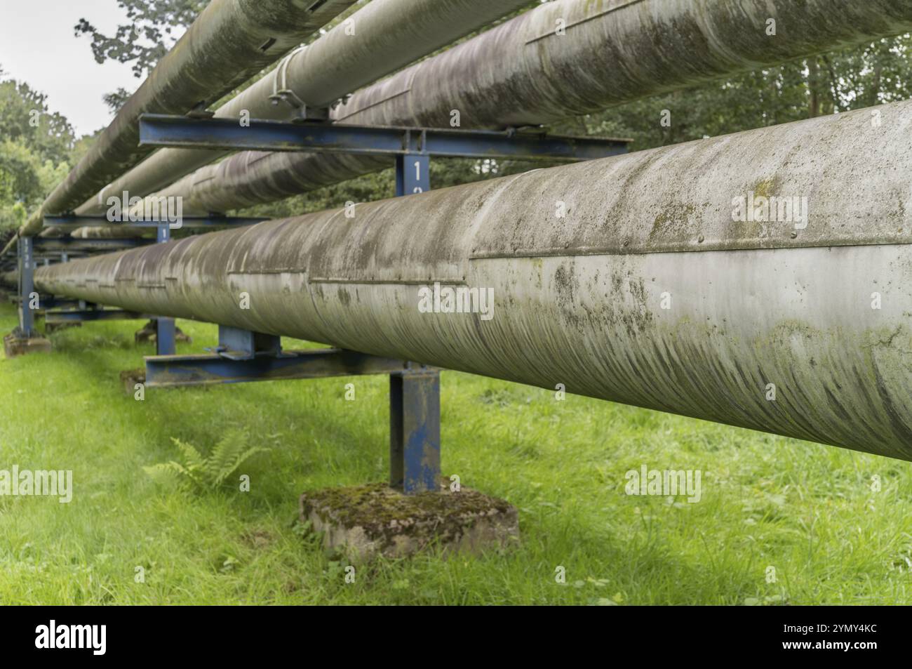 Industrielle Pipelines in der Landschaft Stockfoto