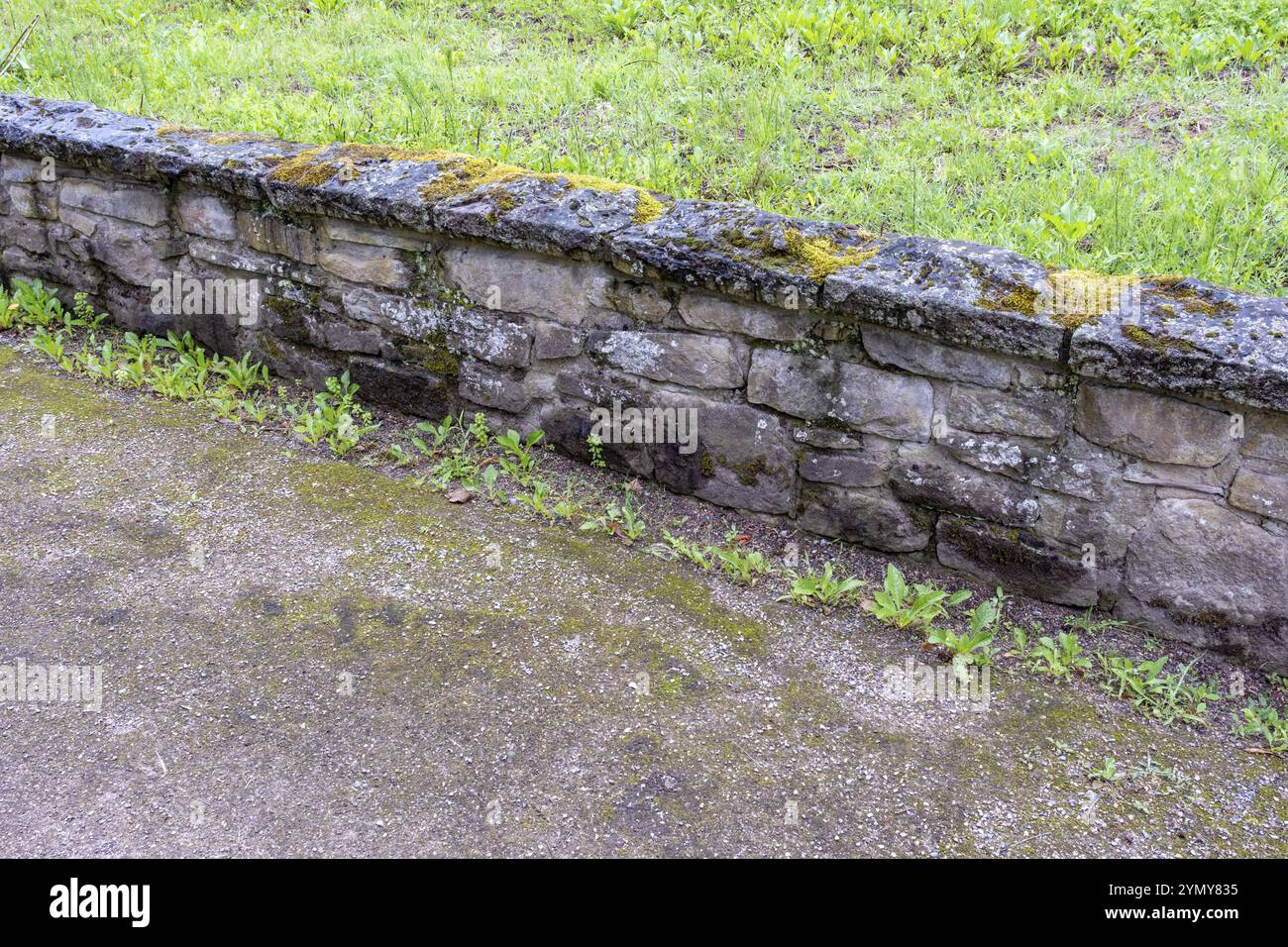 Niedrige Natursteinmauer entlang des Weges Stockfoto