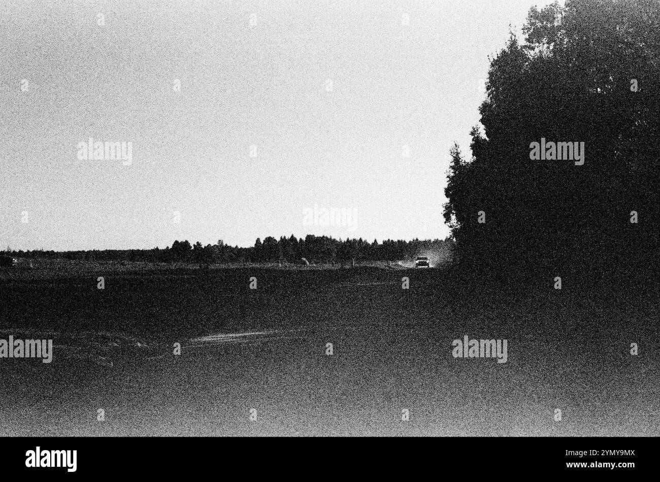 Ein Graustufenbild zeigt eine Landschaft mit Bäumen im fernen Hintergrund unter einem Himmel, Film 35 mm Stockfoto