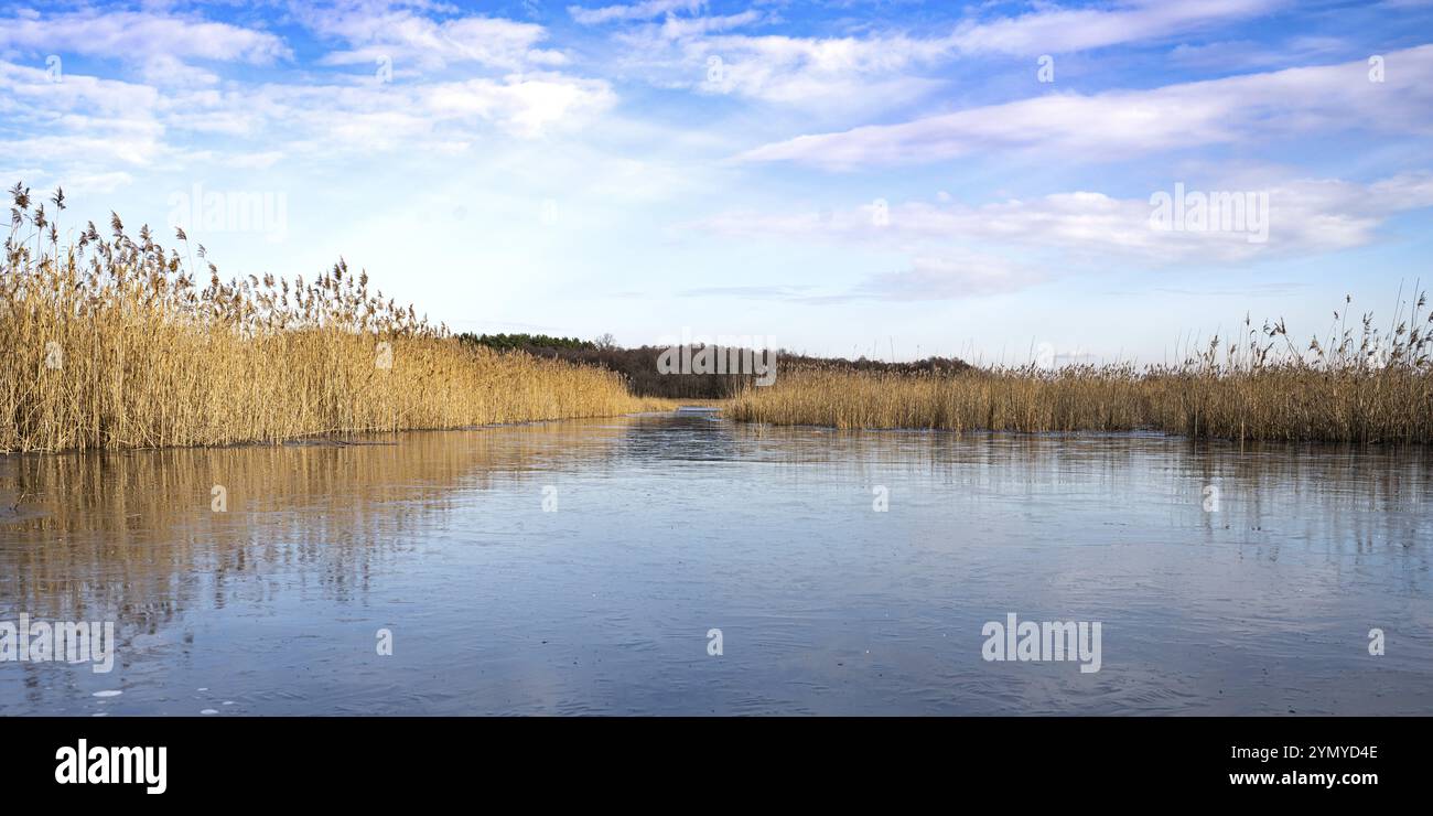 Winterstille in der oberlausitzer Heide- und Teichlandschaft bei Klitten 2 Stockfoto