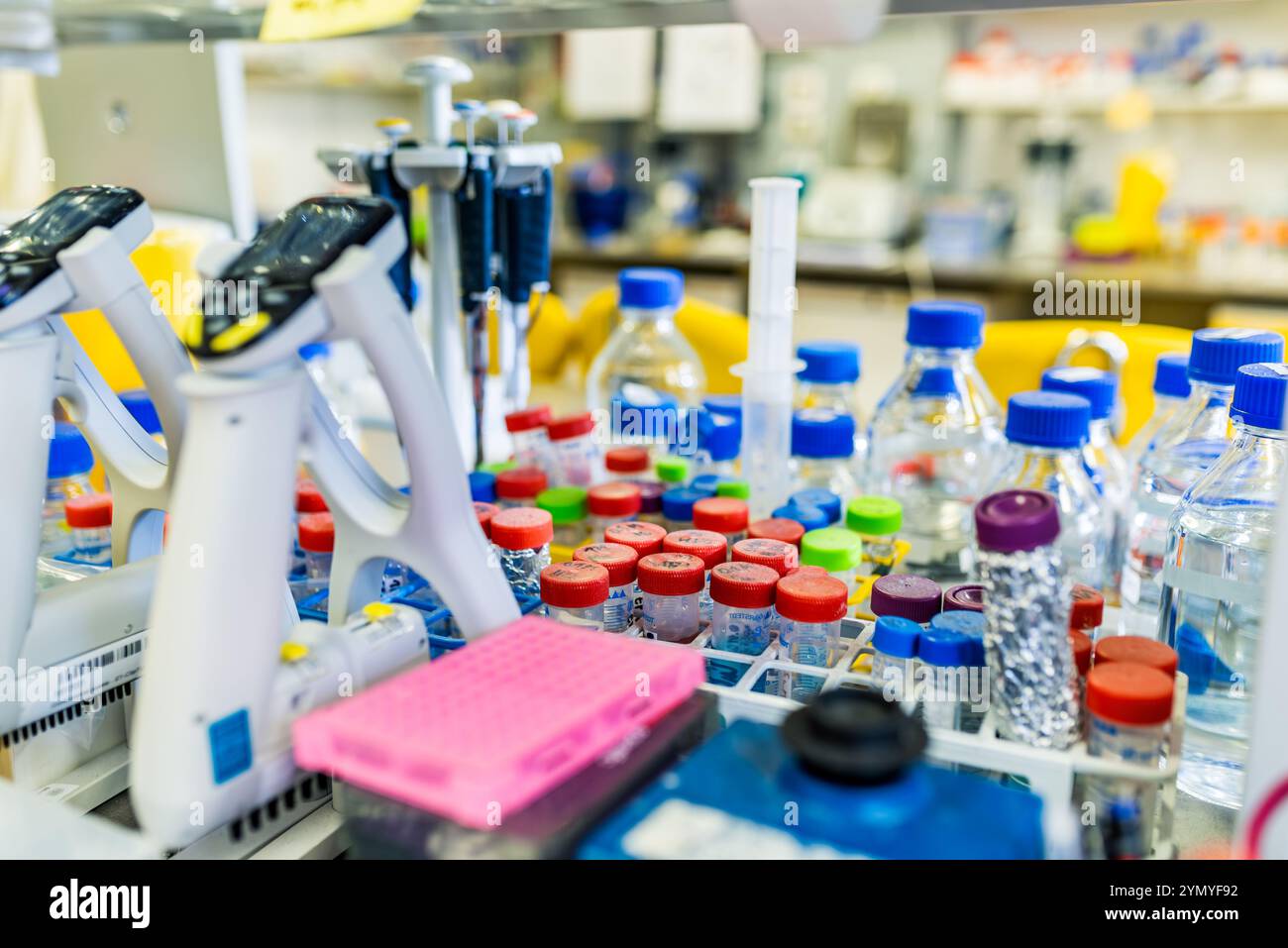 Gut organisierte Laborwerkbank mit Chemikalienbedarf, Probenröhrchen und wichtigen Forschungsgeräten Stockfoto