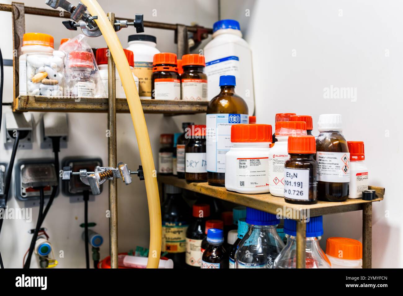 Organisierte chemische Reagenzien und Behälter auf Laborregalen, Hintergrund im Biochemie-Labor Stockfoto