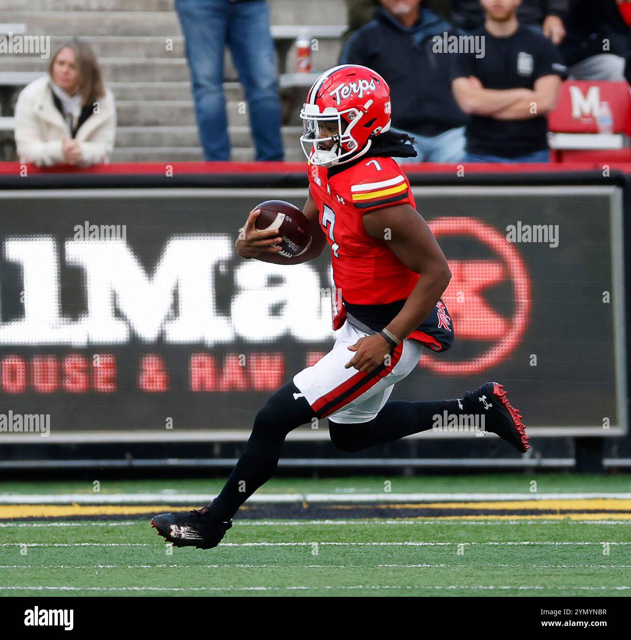 College Park MD, USA. November 2024. Maryland TERPS QB #7 MJ Morris läuft mit dem Fußball während eines NCAA-Fußballspiels zwischen den University of Maryland Terrapins und Iowa Hawkeyes im SECU Stadium im College Park MD Justin Cooper/CSM/Alamy Live News Stockfoto