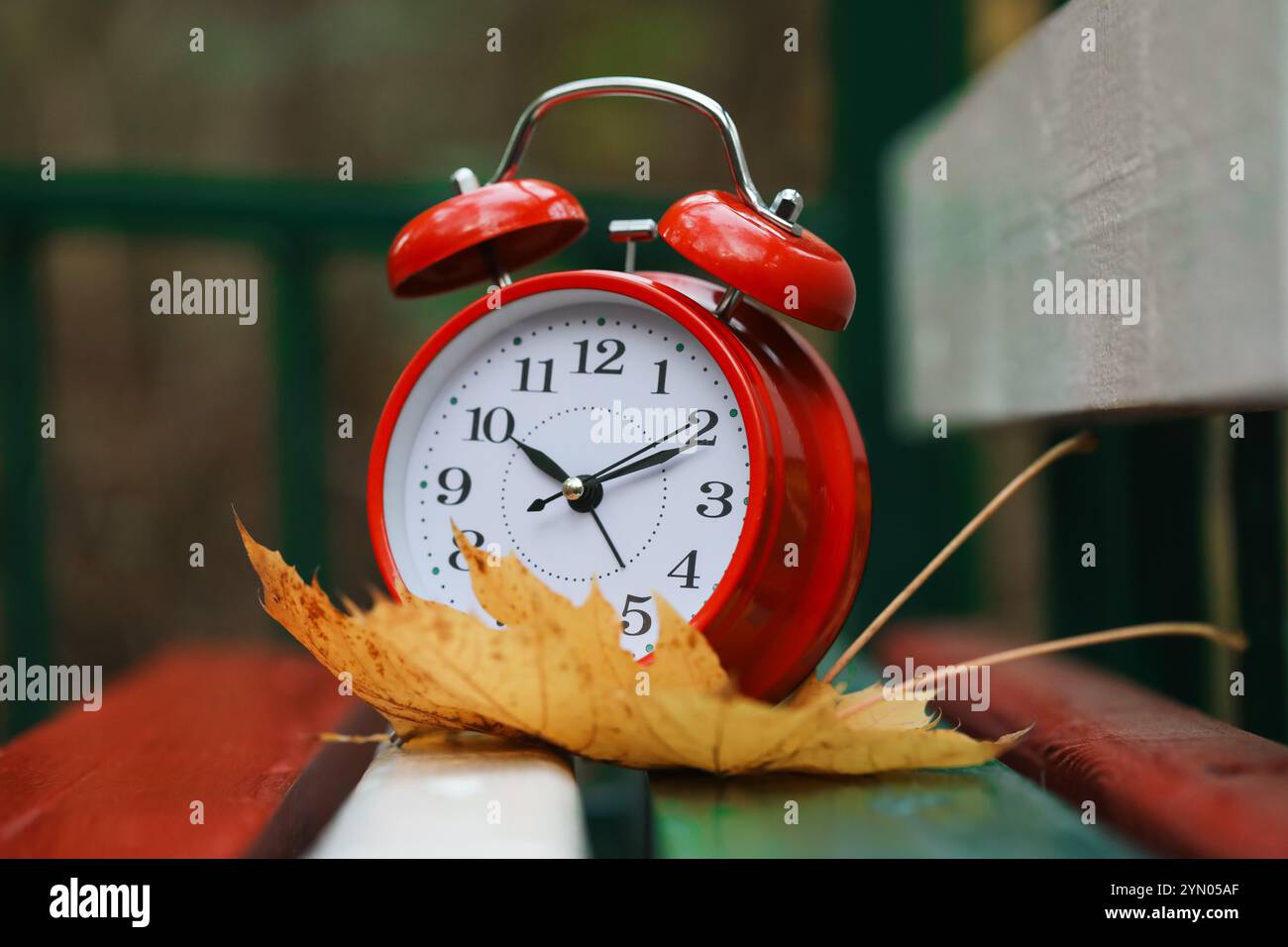 Herbstzeit. Wecker und gefallenes Blatt auf Holzbank im Freien Stockfoto