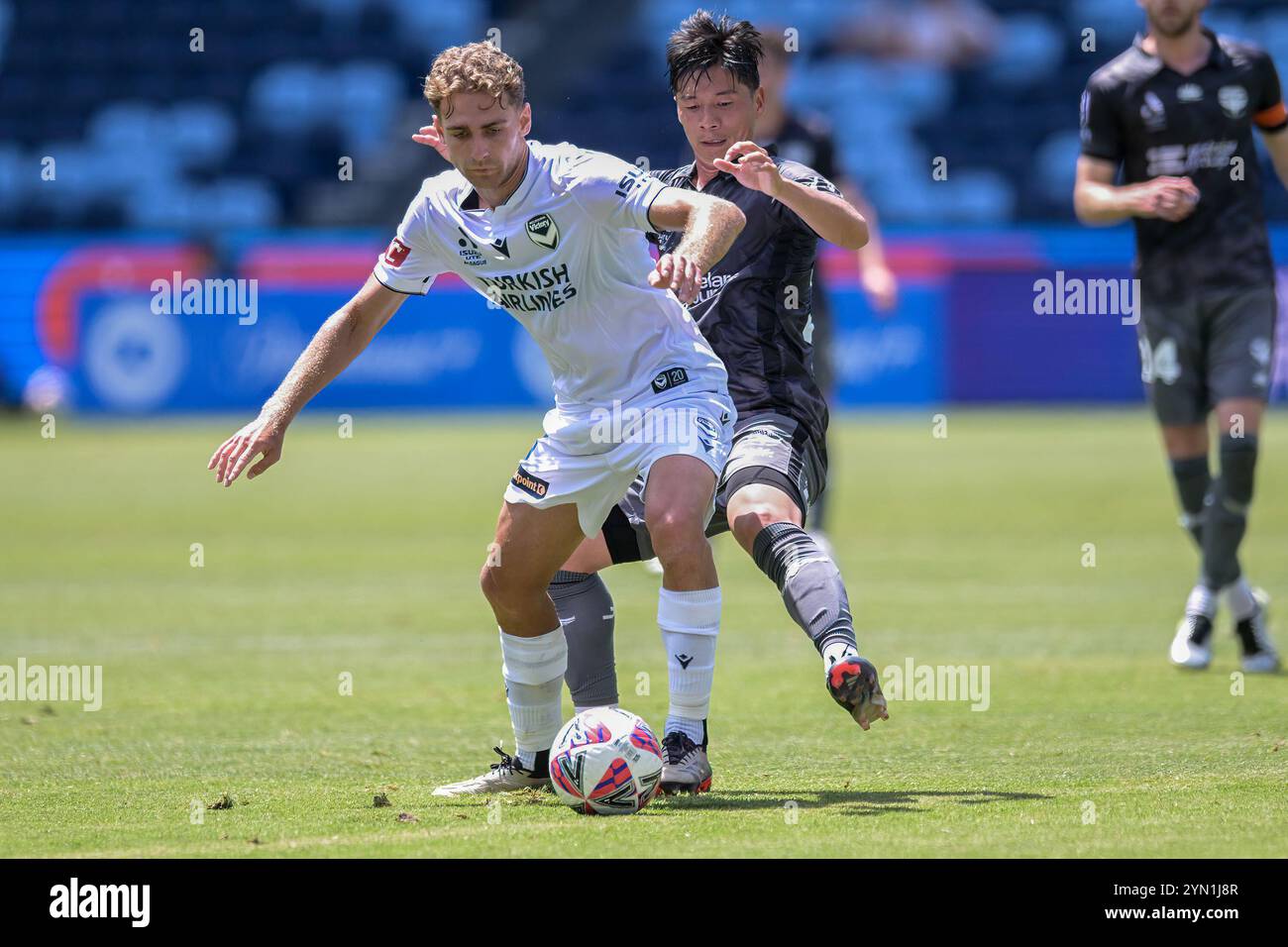 Paddington, Australien. November 2024. Ryan Graham Pun Teague (L) von Melbourne Victory und Kazuki Nagasawa (R) von Wellington Phoenix FC wurden während des fünften Spiels der Isuzu UTE A-League 2024-25 zwischen Wellington Phoenix FC und Melbourne Victory FC im Allianz Stadium in Aktion genommen. Endpunktzahl Wellington Phoenix 1:0 Melbourne Victory. Quelle: SOPA Images Limited/Alamy Live News Stockfoto