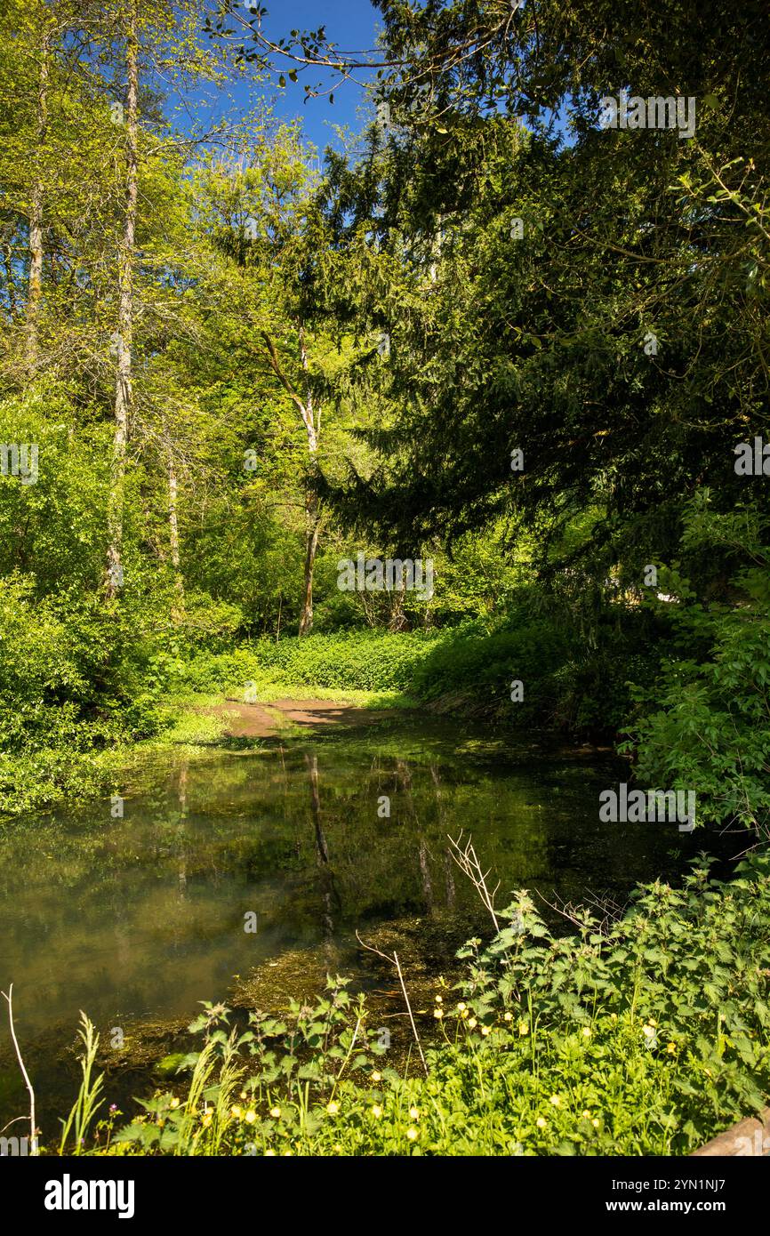 Großbritannien, England, Somerset, Quantocks, Broomfield, Fyne Court, See Stockfoto