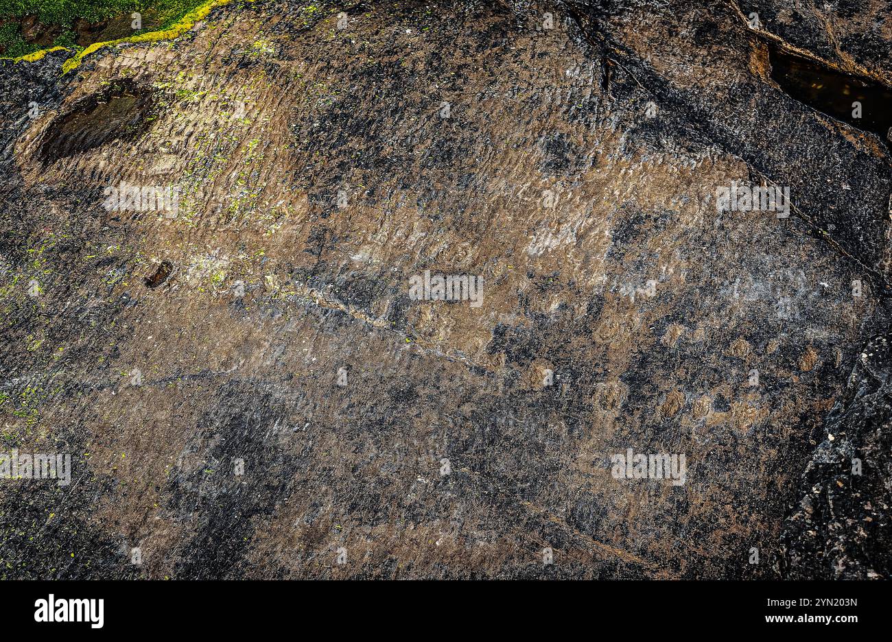 Detaillierte Nahaufnahme einer verwitterten Felsoberfläche mit Fußstapfen und Texturen. Die Erdtöne und die robuste Textur erwecken ein Gefühl von Geolog Stockfoto