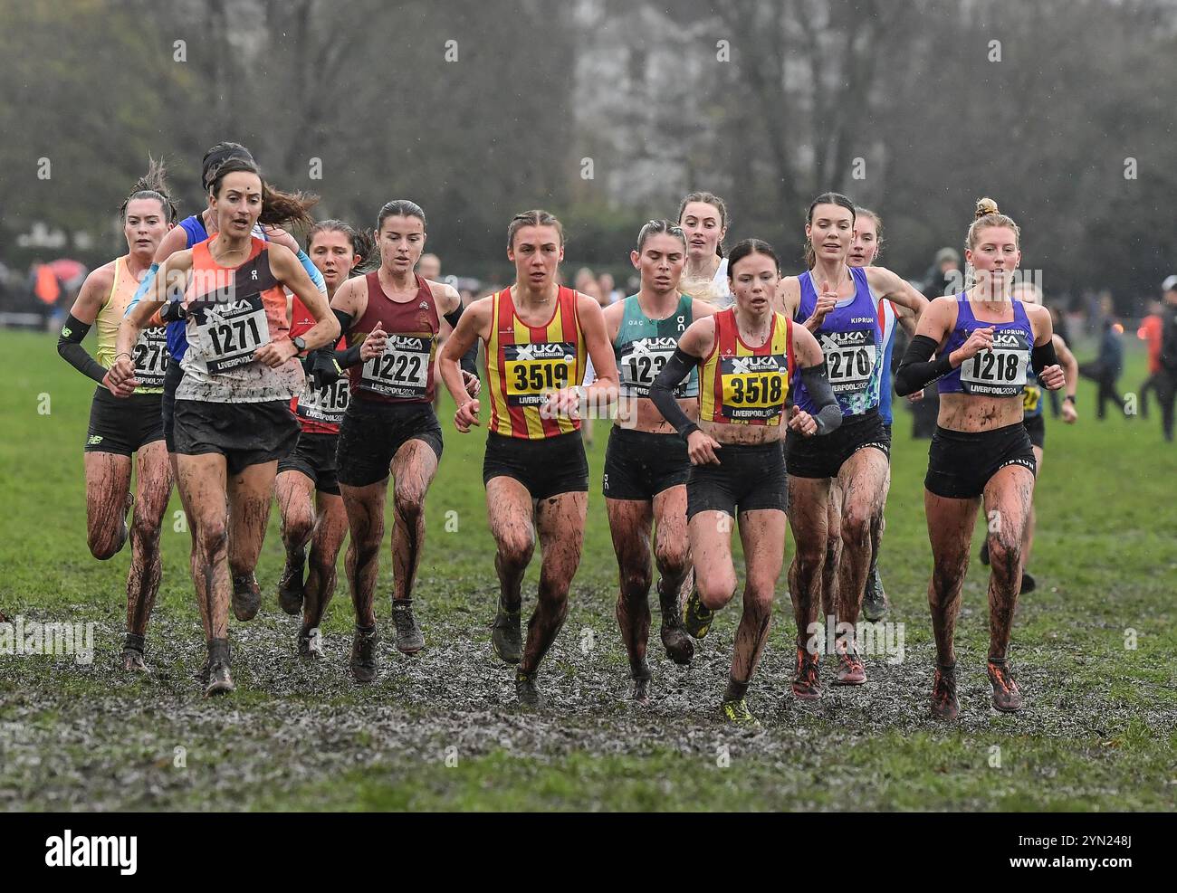 Liverpool, Großbritannien. November 2024. Meg Gadsby (3518) City of Norwich AC und Kate Axford (1218) aus Belgrave Harriers traten am 23. November 2024 bei der British Athletics Cross Challenge in Sefton Park, Liverpool UK an. Foto von Gary Mitchell Credit: Gary Mitchell, GMP Media/Alamy Live News Stockfoto