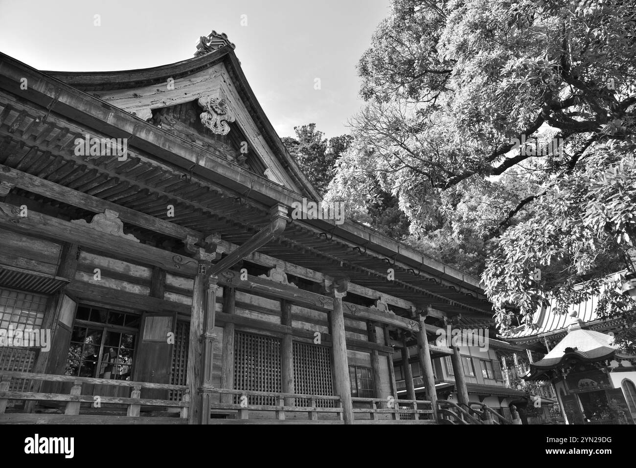 Seiganto-JI Tendai Buddhistischer Tempel in der Präfektur Wakayama, Japan am 16. Februar 2024 Stockfoto